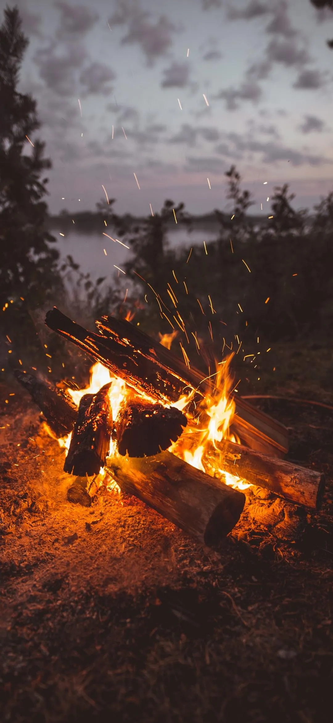 Campfire in Foggy Forest Creating Warm and Calm Mood