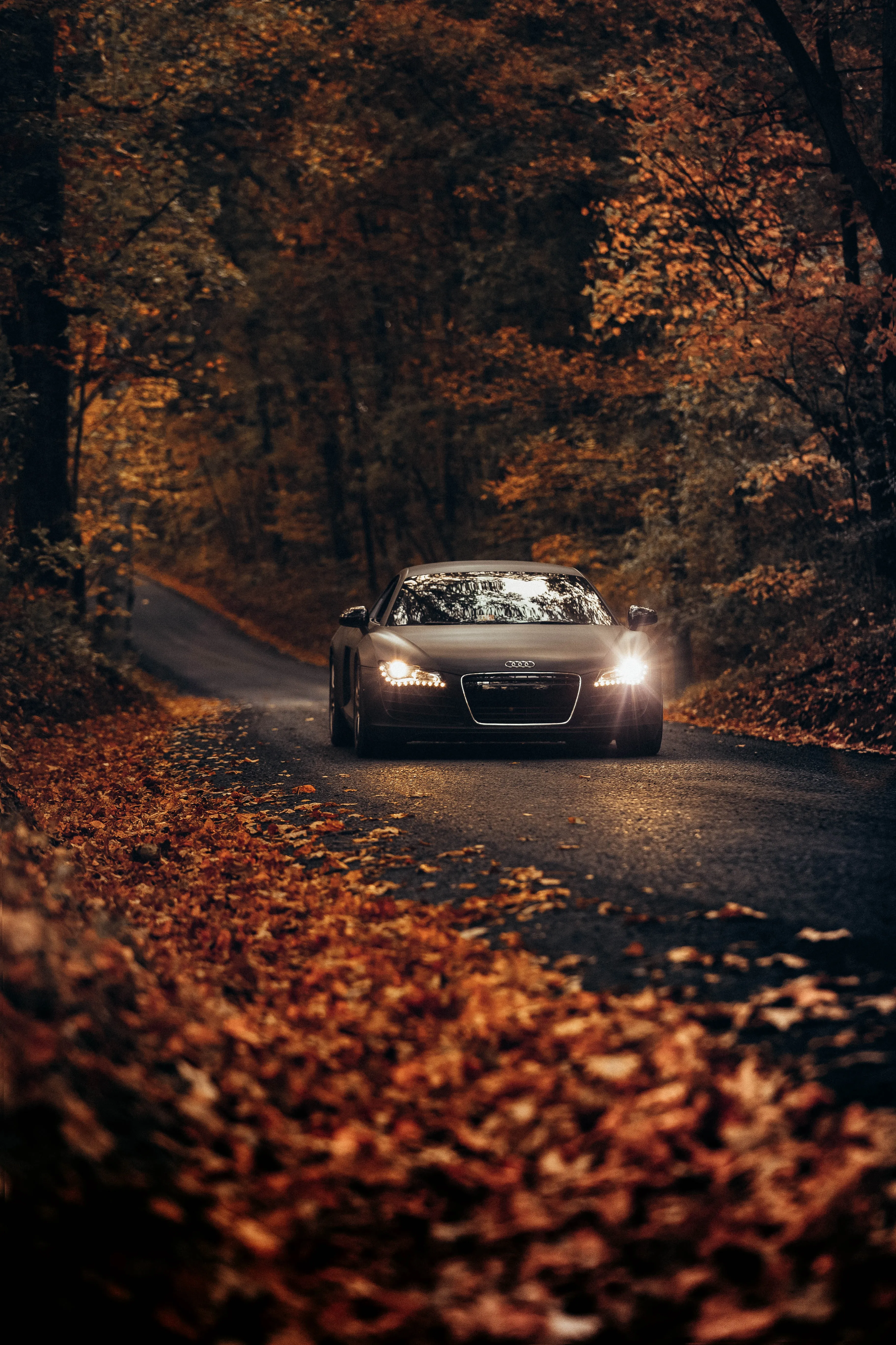 Car Driving on Road Covered with Red Leaves Wallpaper