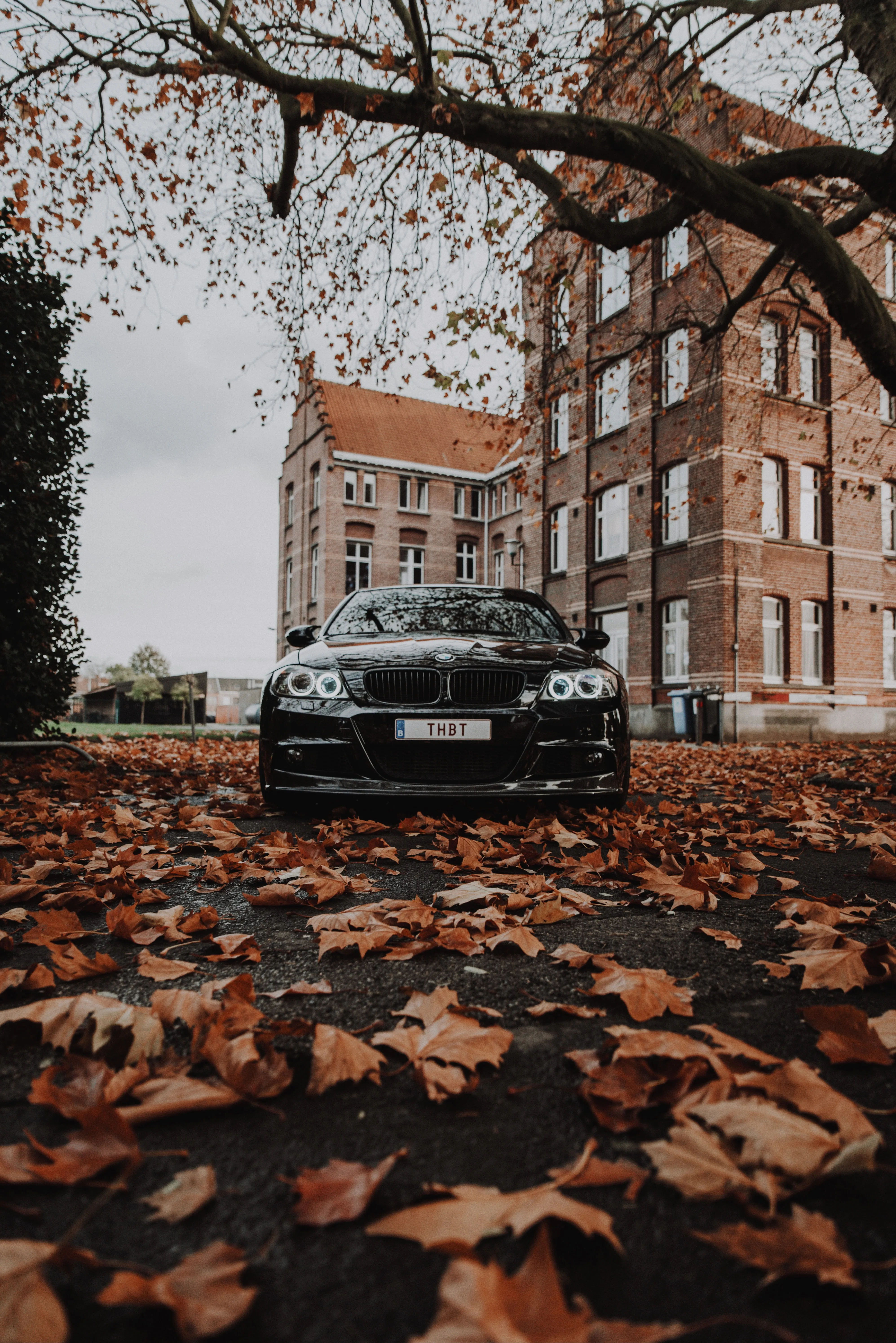 Car Parked Beside Street Covered with Leaves Wallpaper
