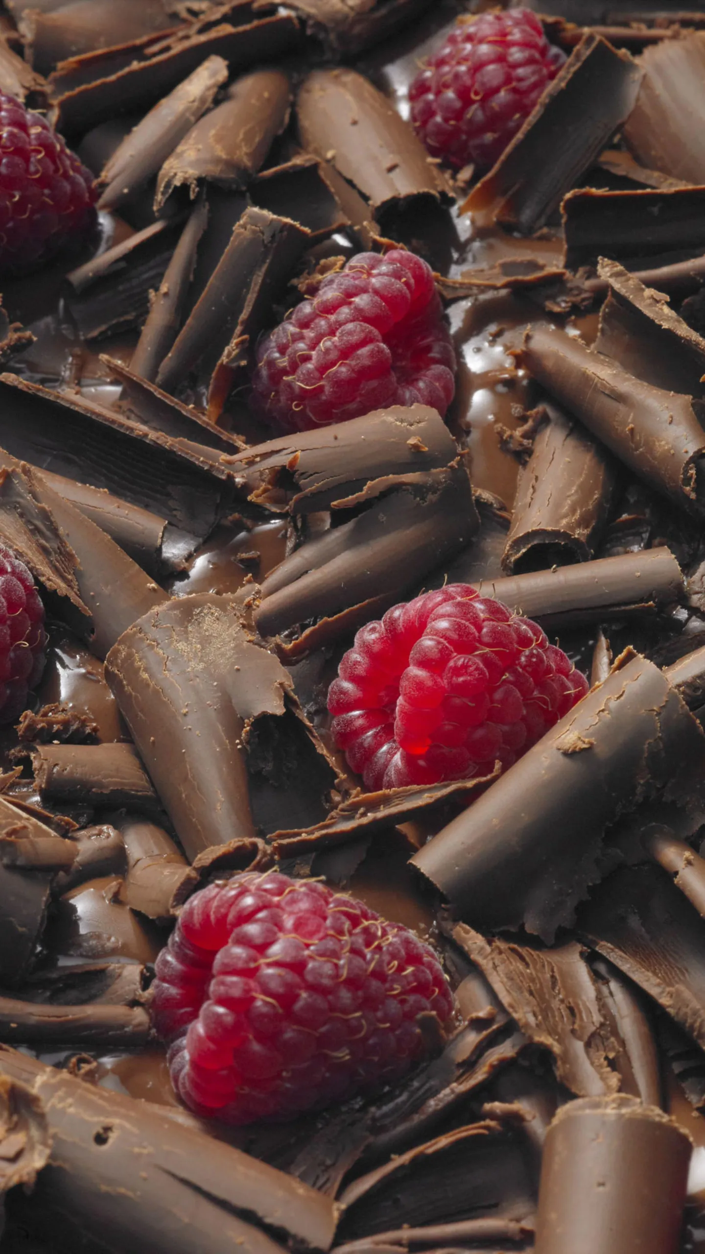 Chocolate Dessert with Raspberries in a Delicious Close Up