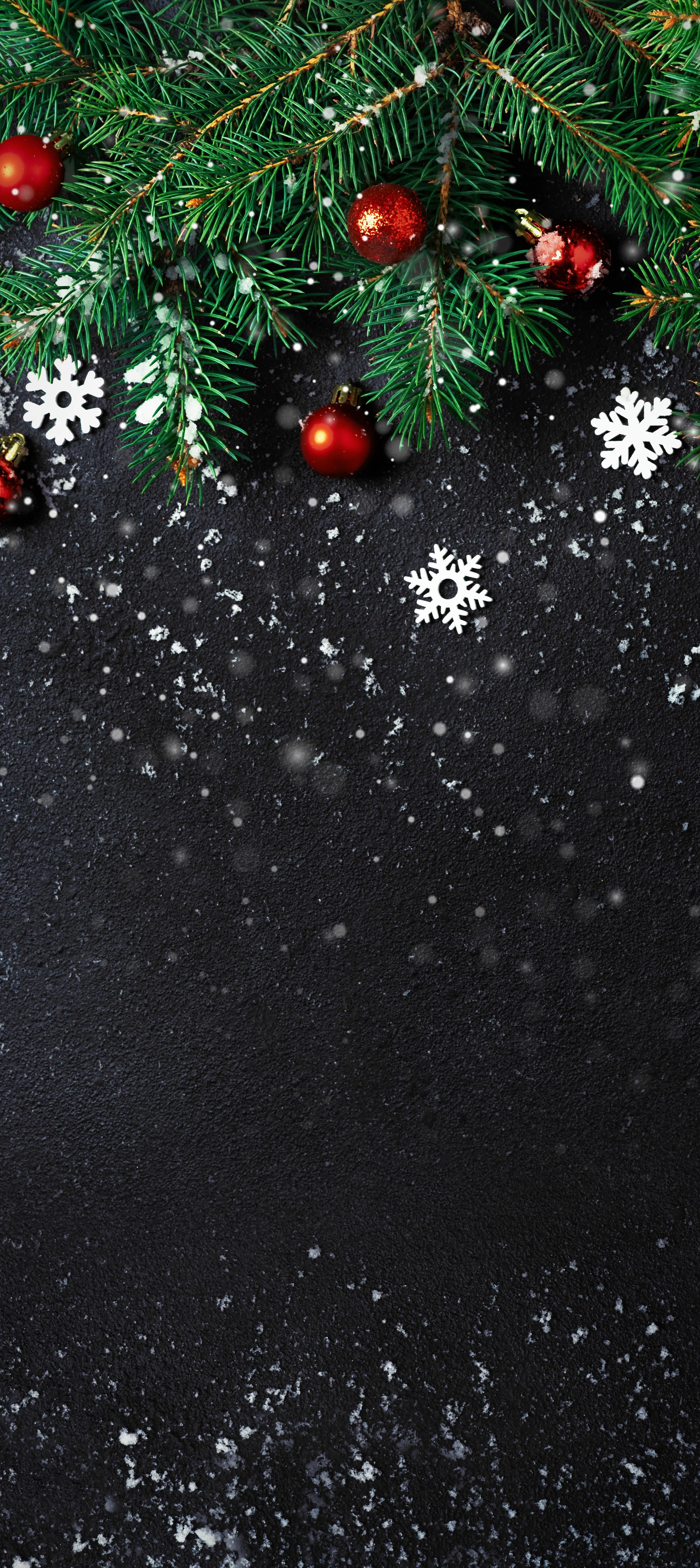 Christmas Decor on Black Background with Pine Leaves