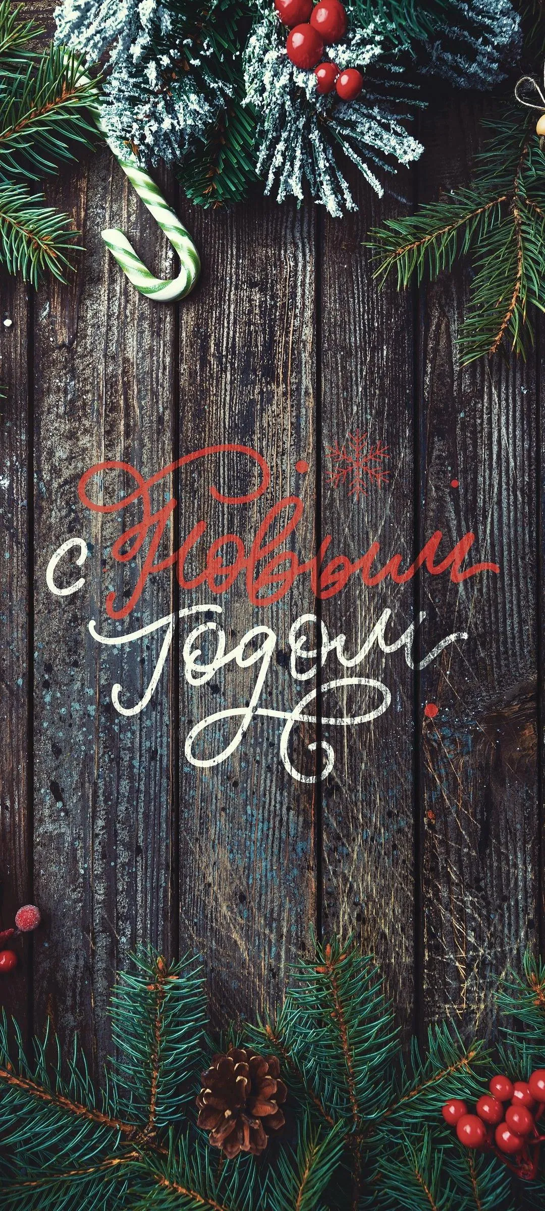 Christmas Greeting Card with Pine Cones and Red Berries