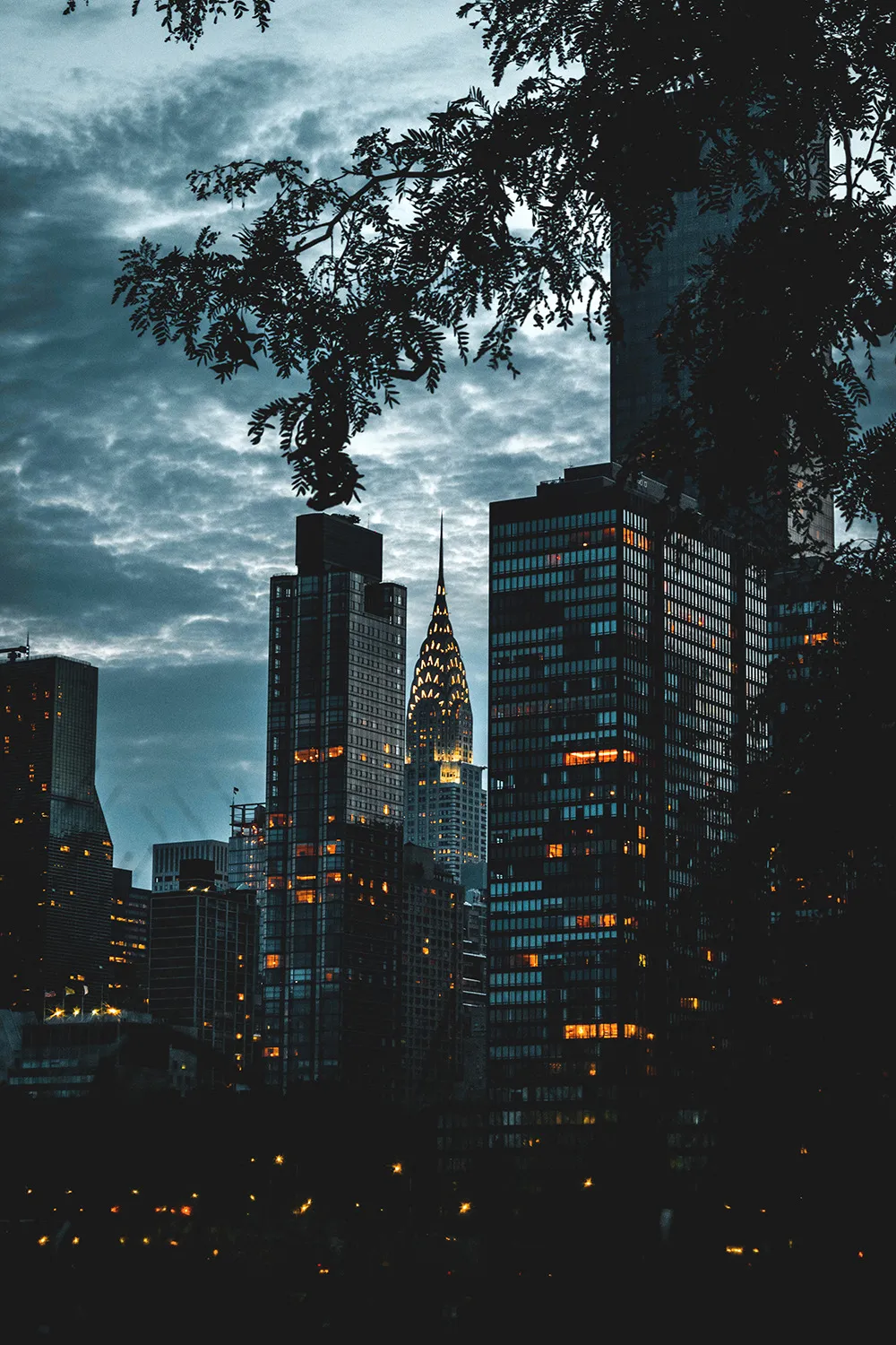City Buildings at Dusk with Tree Overhang Scenic View