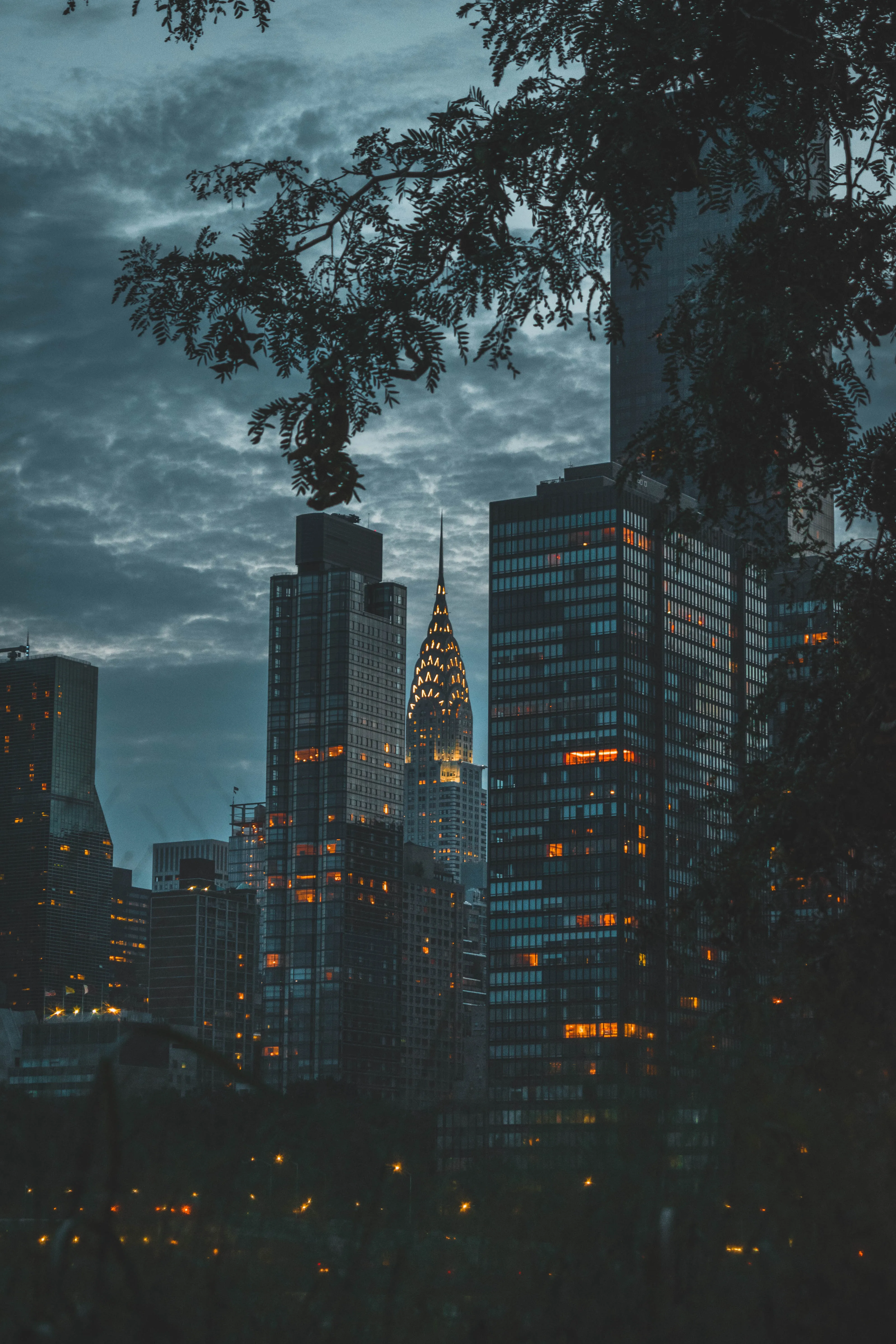 City Skyline Framed by Trees During Cloudy Night Wallpaper