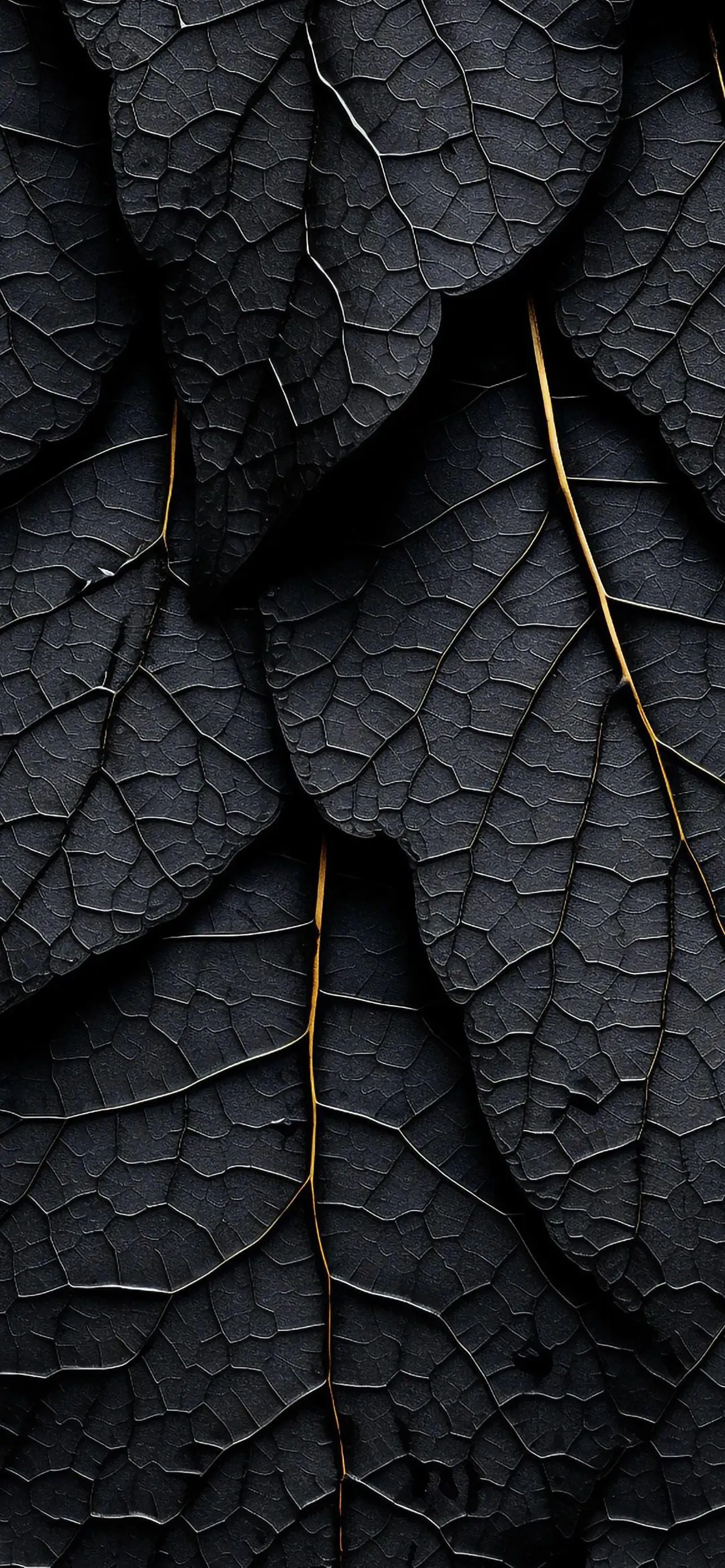 Close Up of Black Leaves Showing Natural Texture and Detail