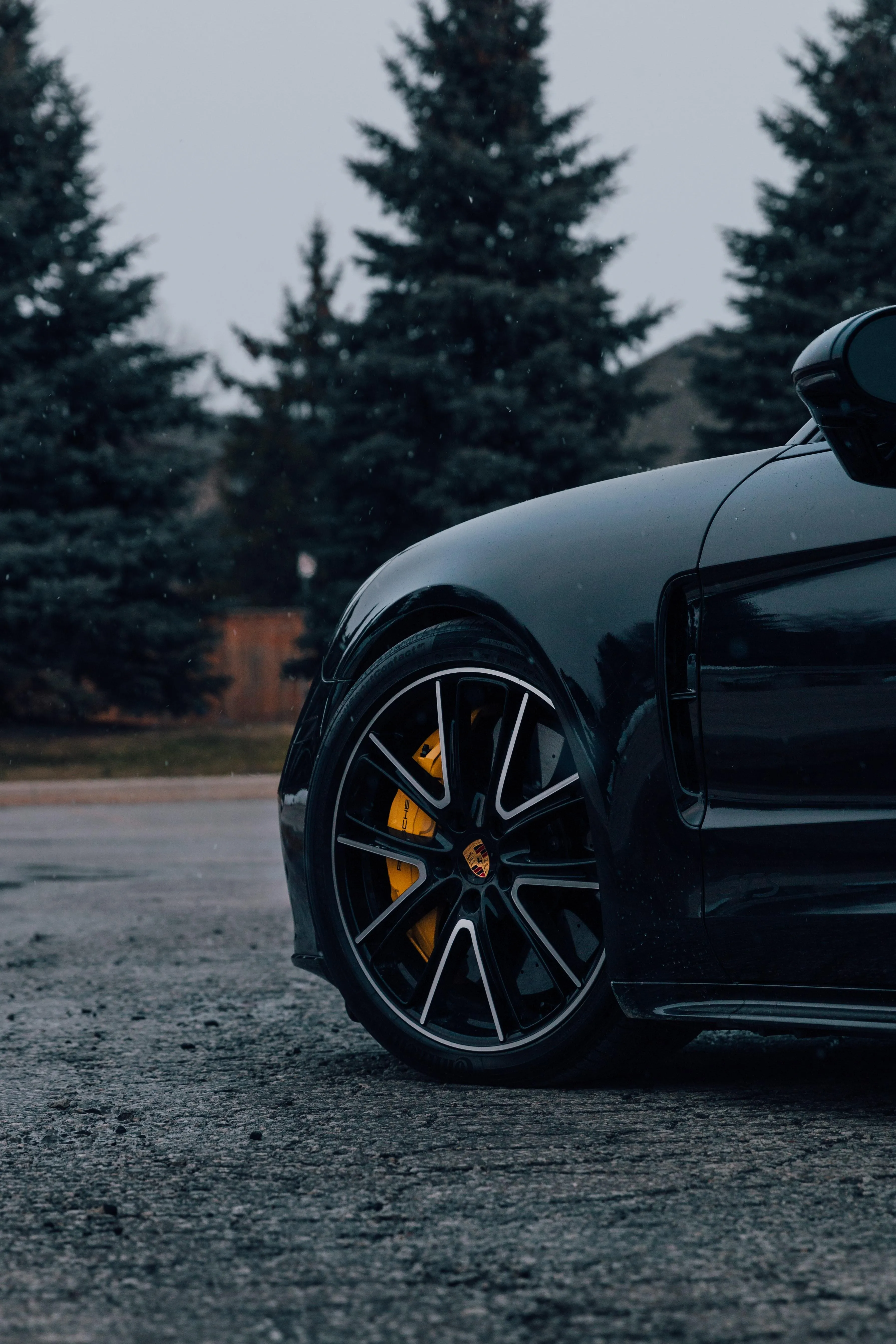 Close Up of Black Sports Car Tire in Forest Setting Image