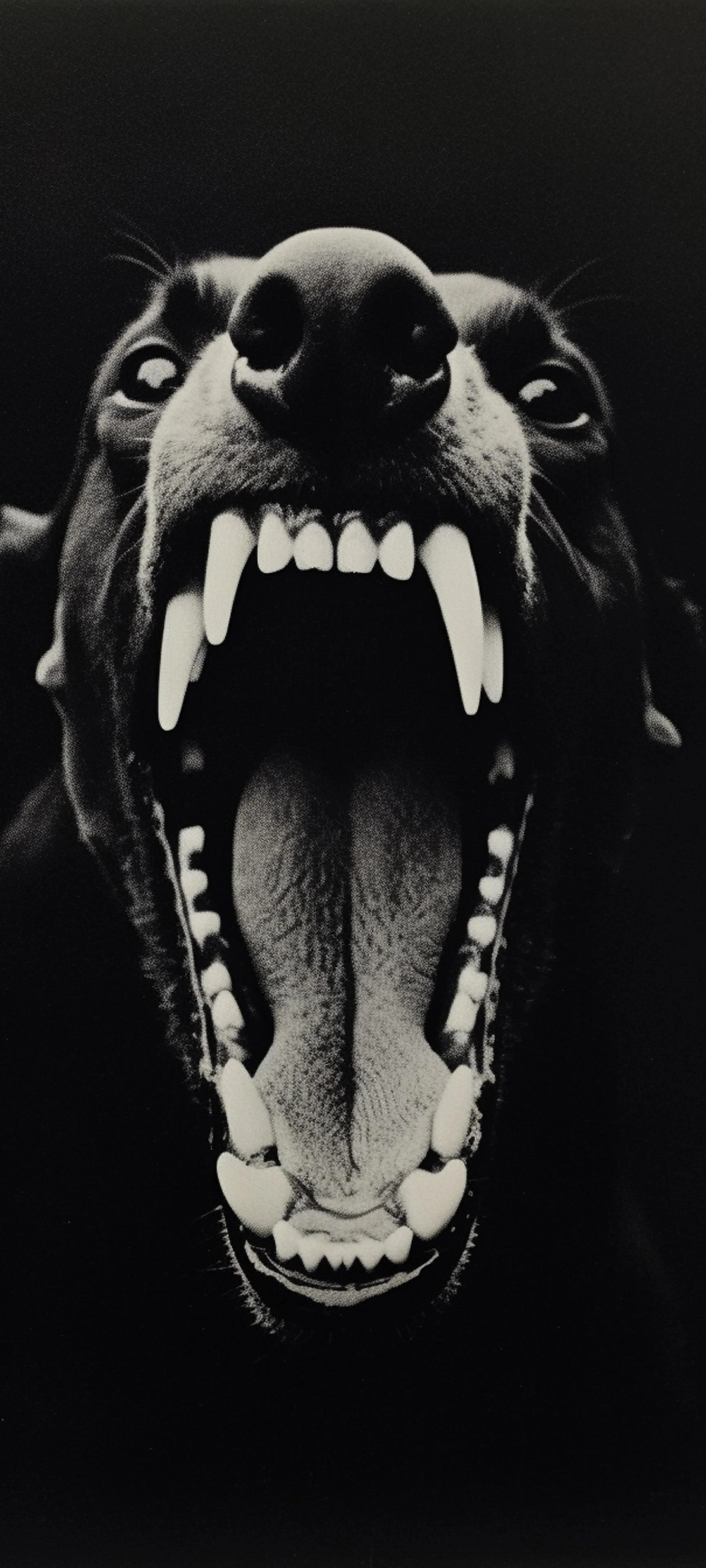 Close Up of Ferocious Black Dog Roaring with Teeth