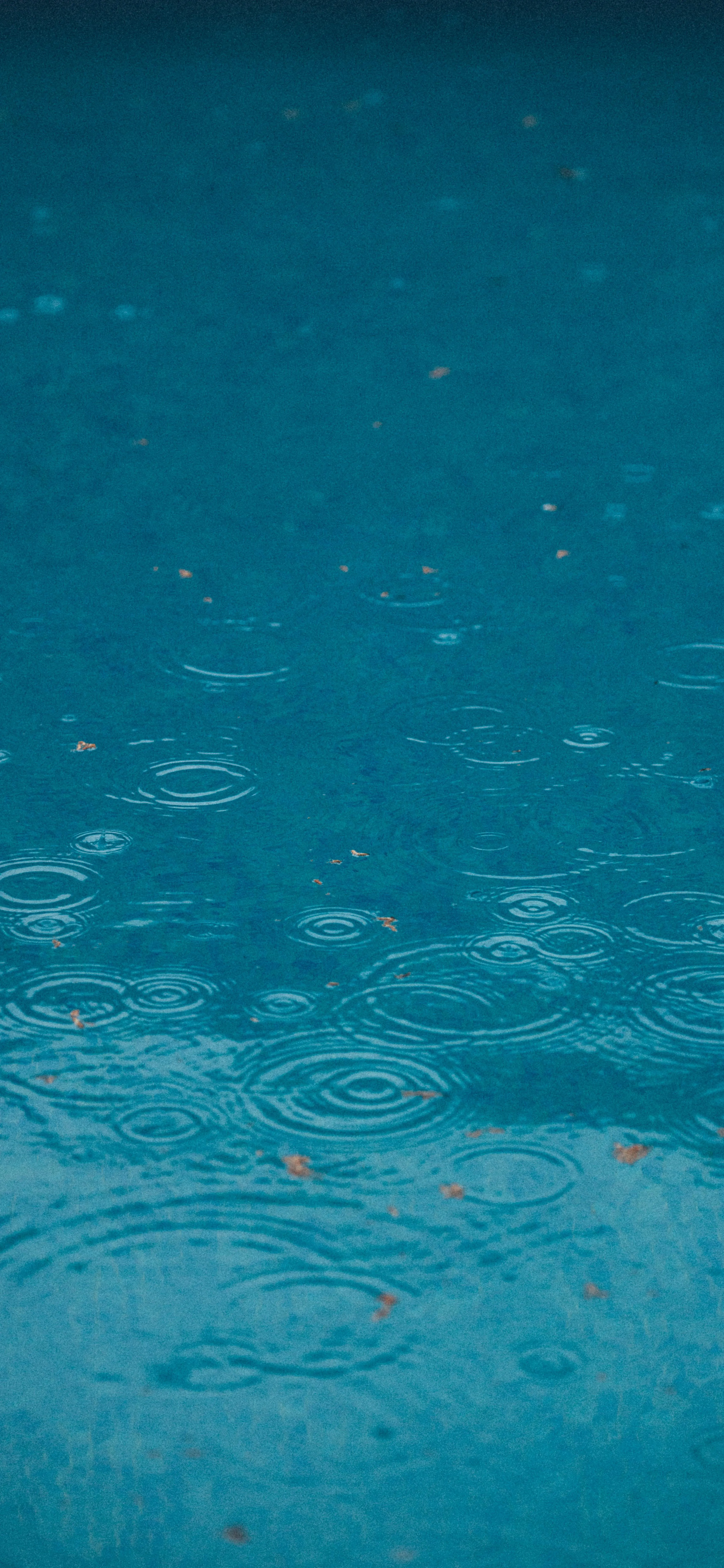 Close Up of Water Surface with Raindrops Falling Wallpaper
