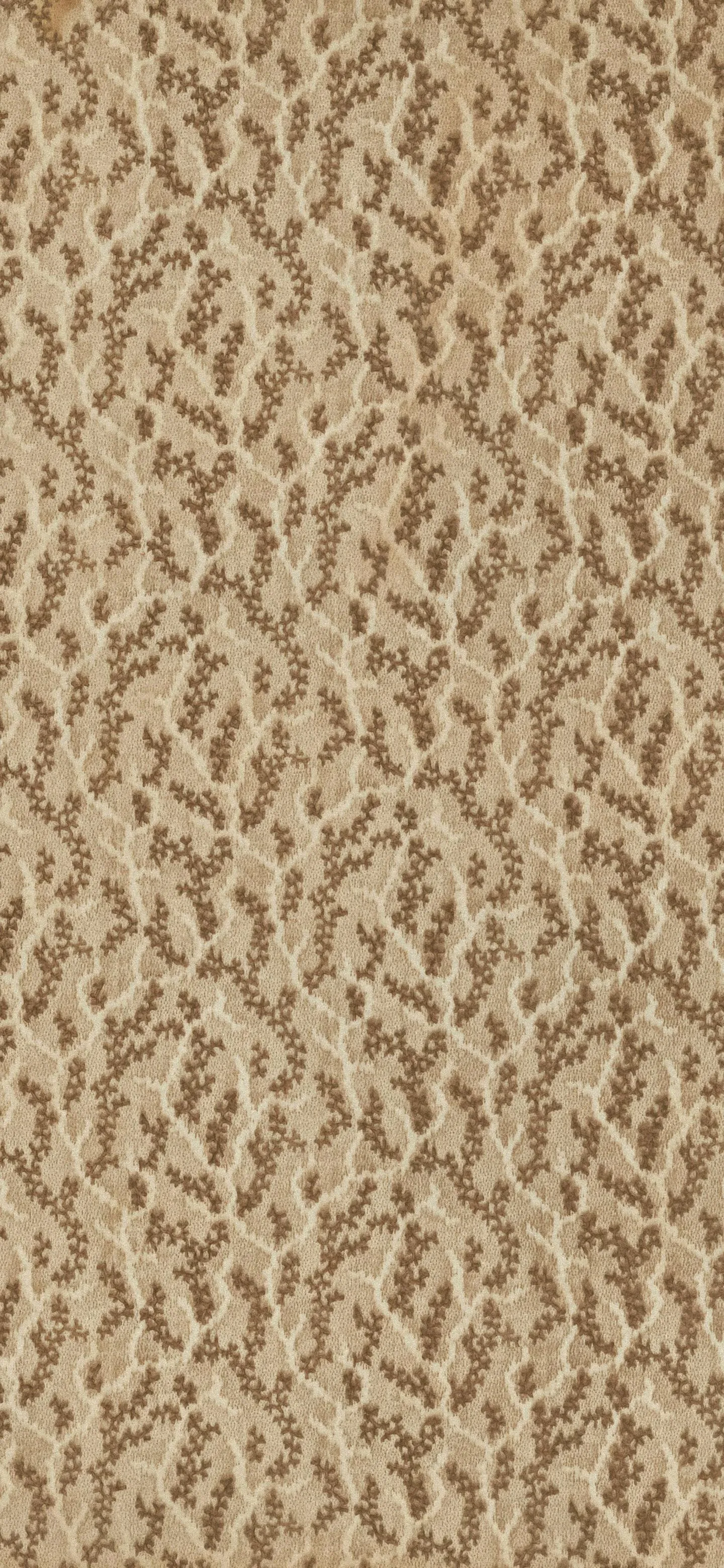 Close Up Texture of Sandy Surface with Small Pebbles