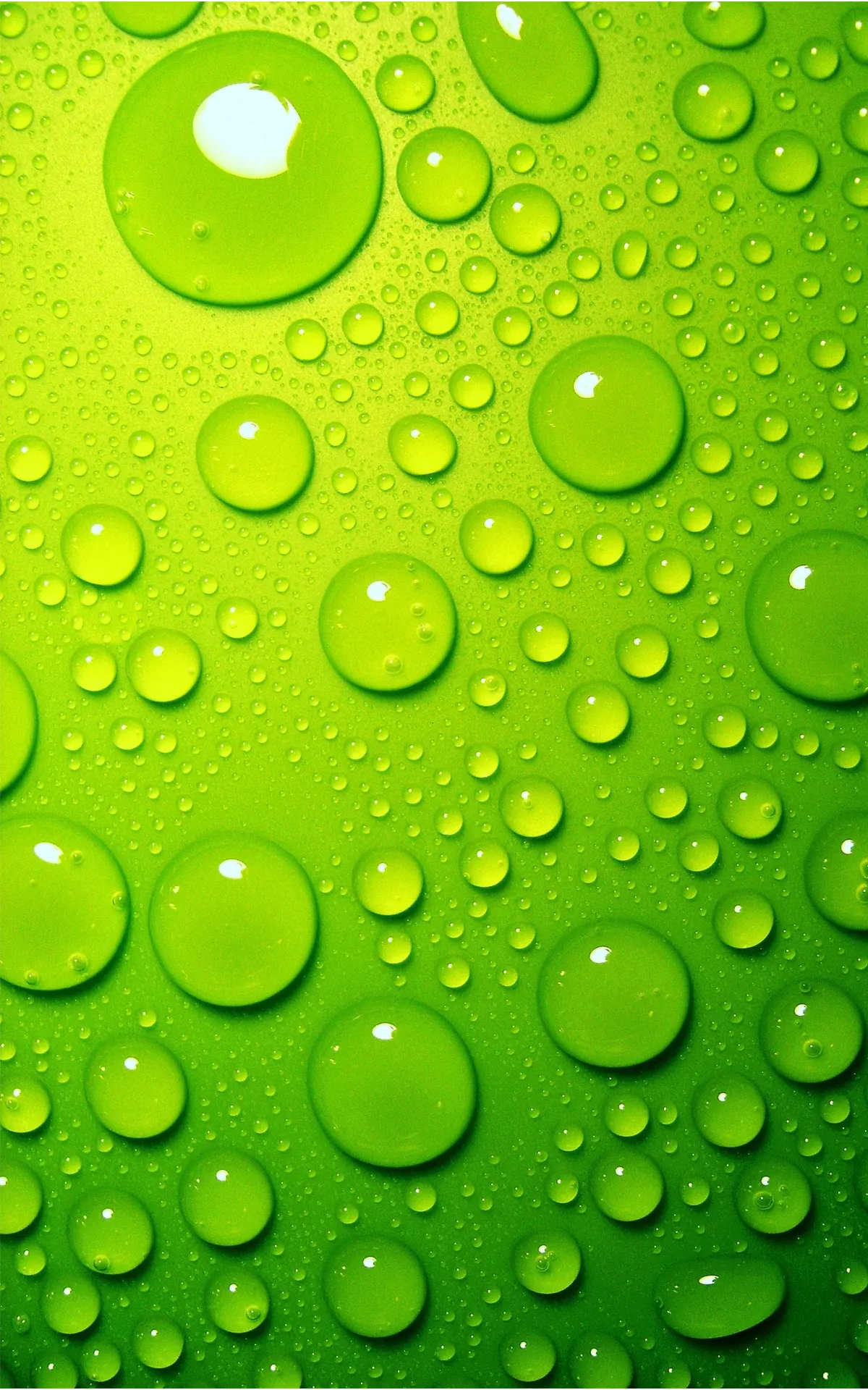 Closeup Green Water Droplets on Fresh Surface Wallpaper