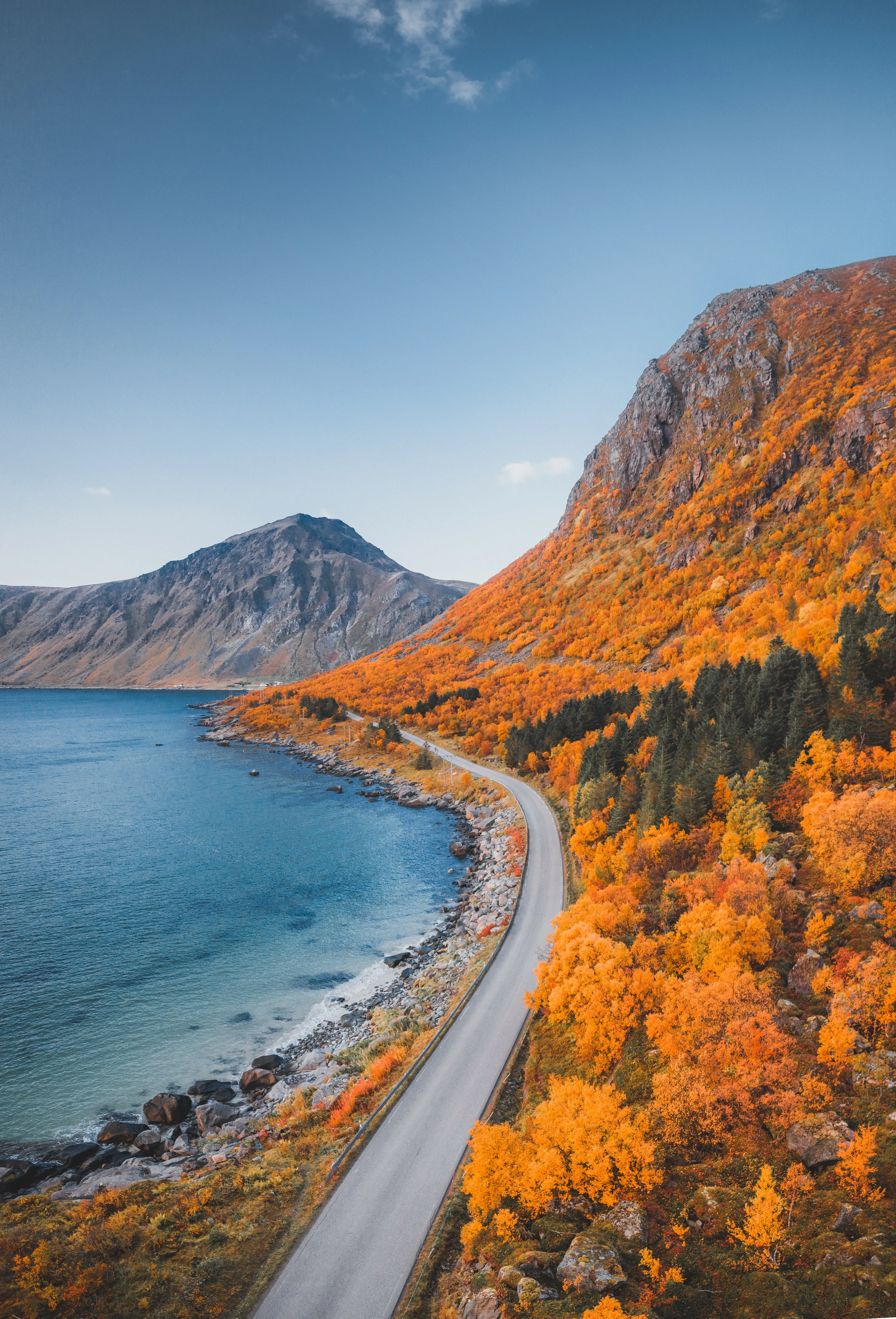 Coastal Road Along Blue Sea and Green Mountain View Image