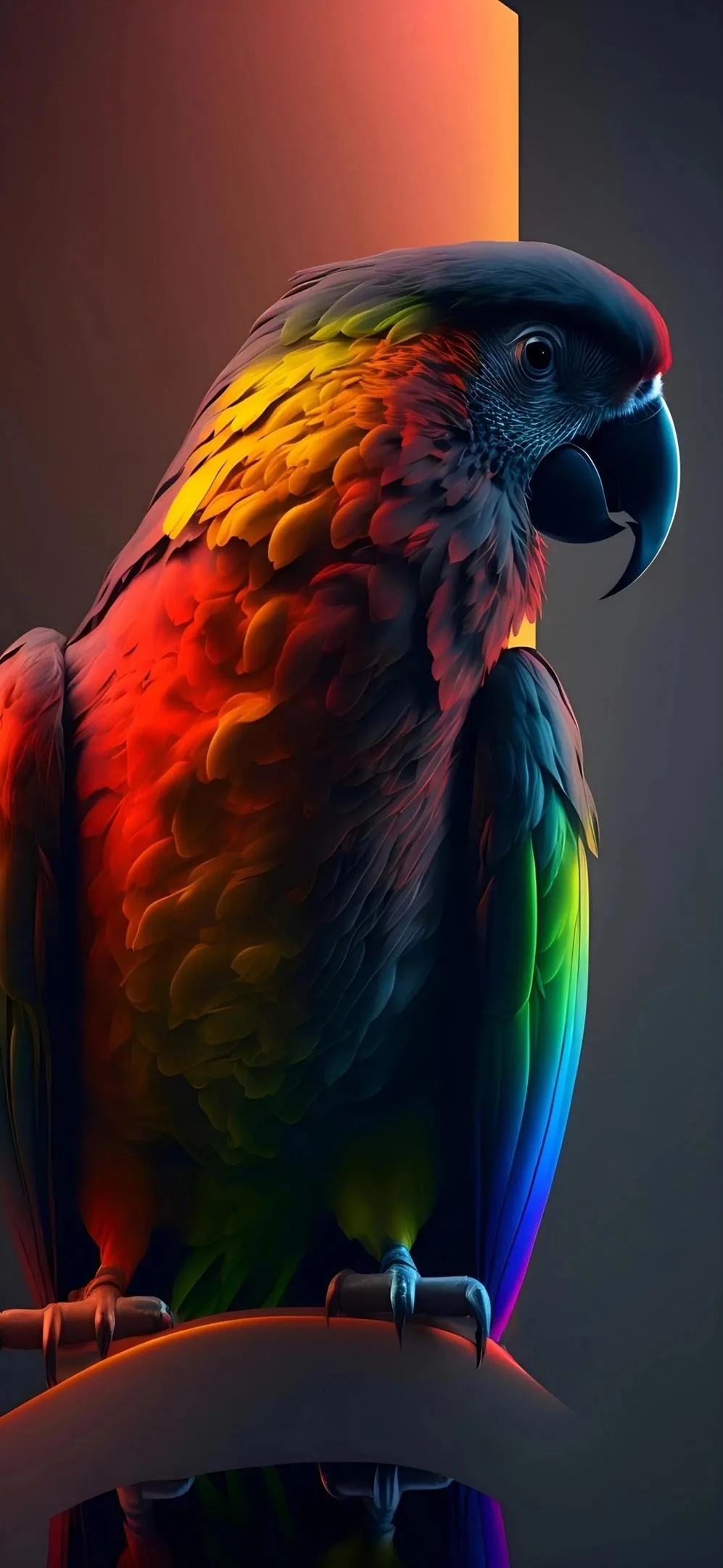 Colorful Parrot Exotic Parrot Art Mobile Wallpaper HD