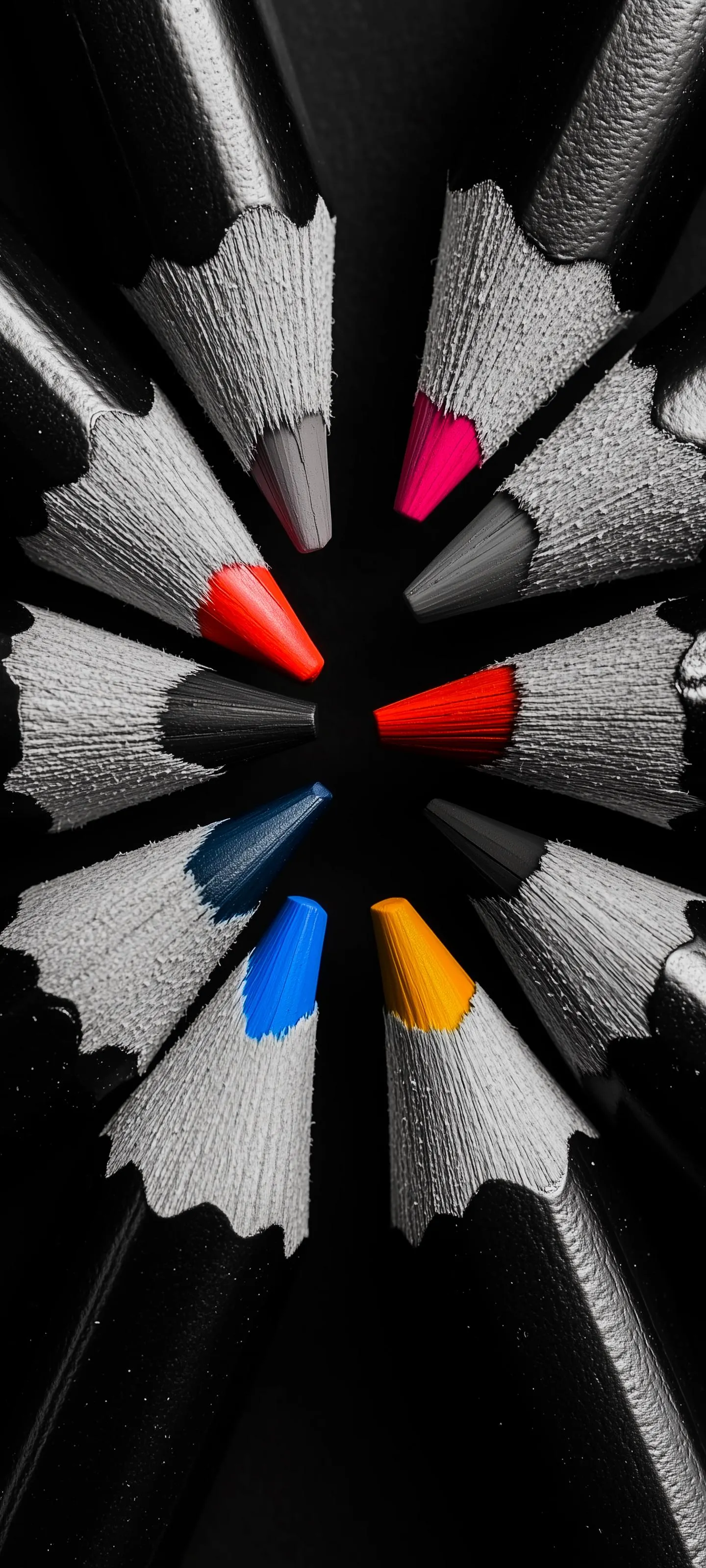 Colorful Pencils Arranged Radially on Black Background