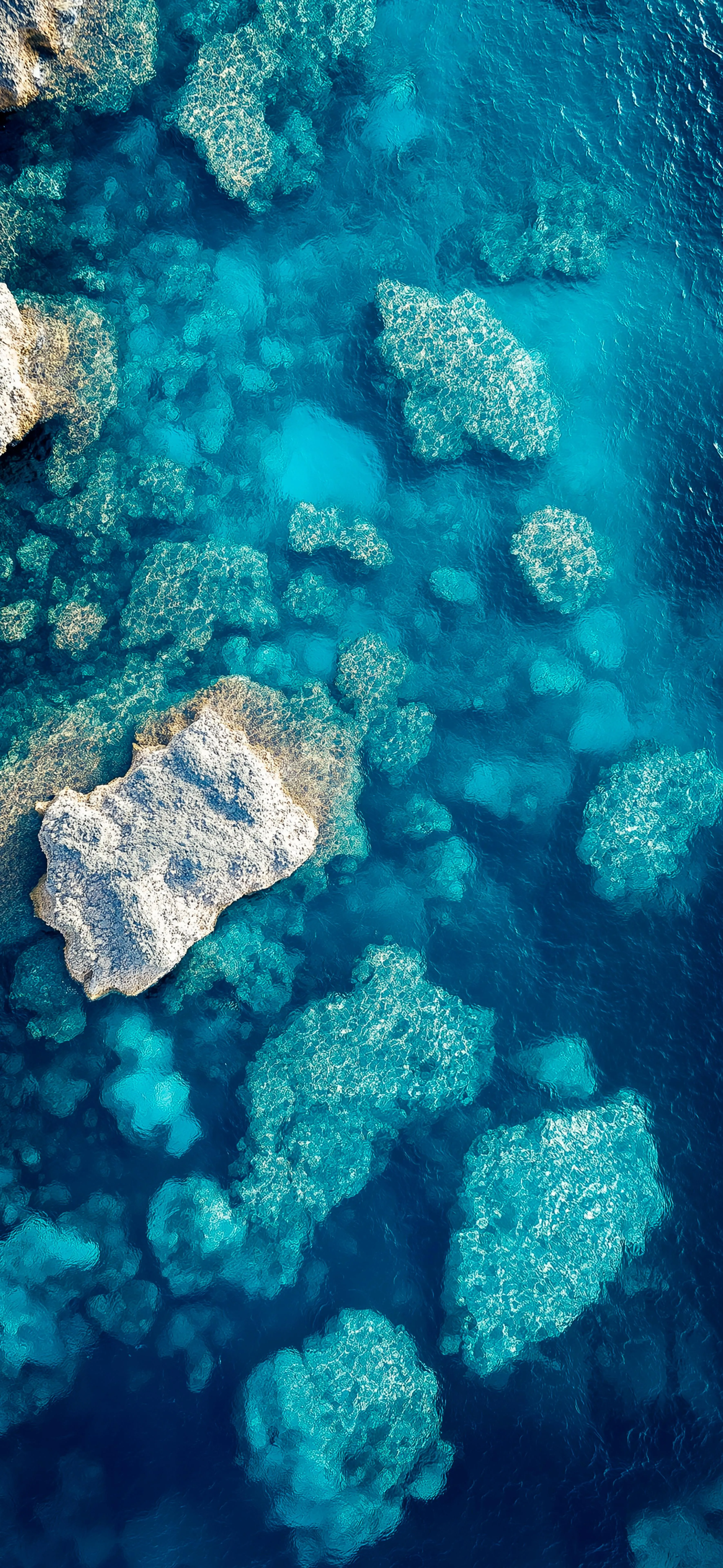 Coral Reefs and Ocean in Tropical Aerial Photography