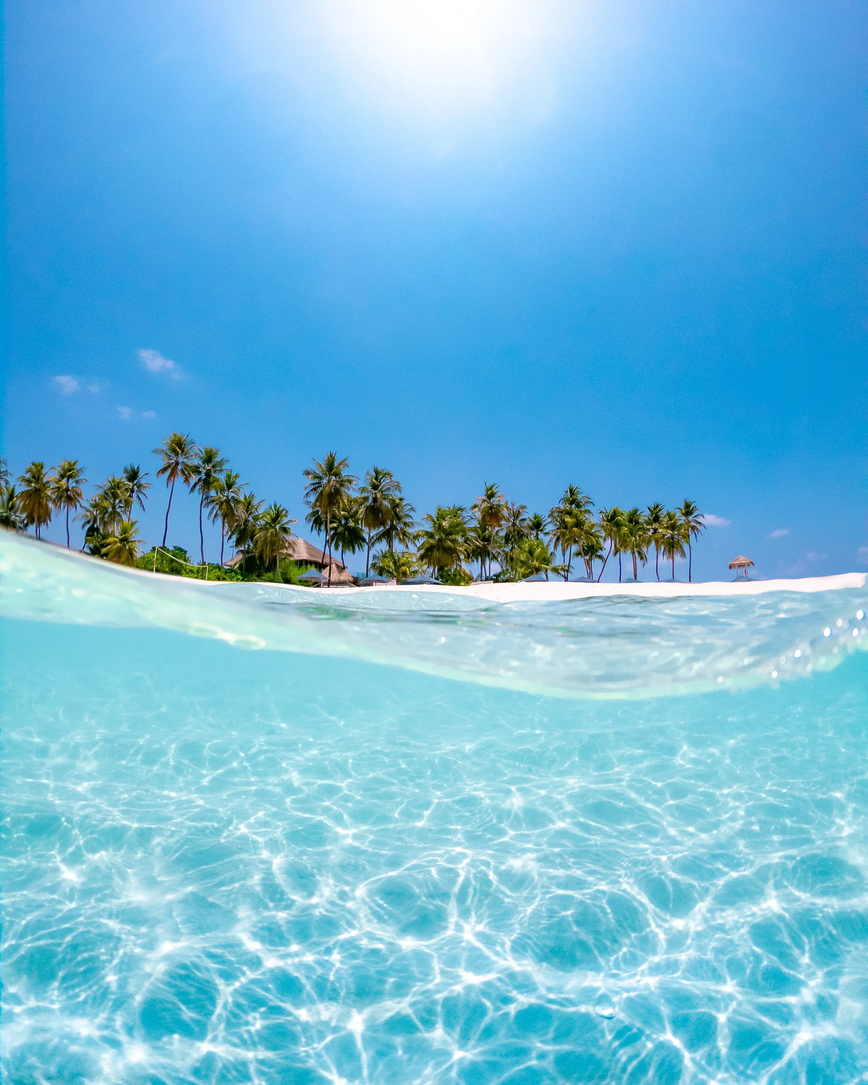 Crystal Clear Tropical Sea and Palm Horizon Wallpaper