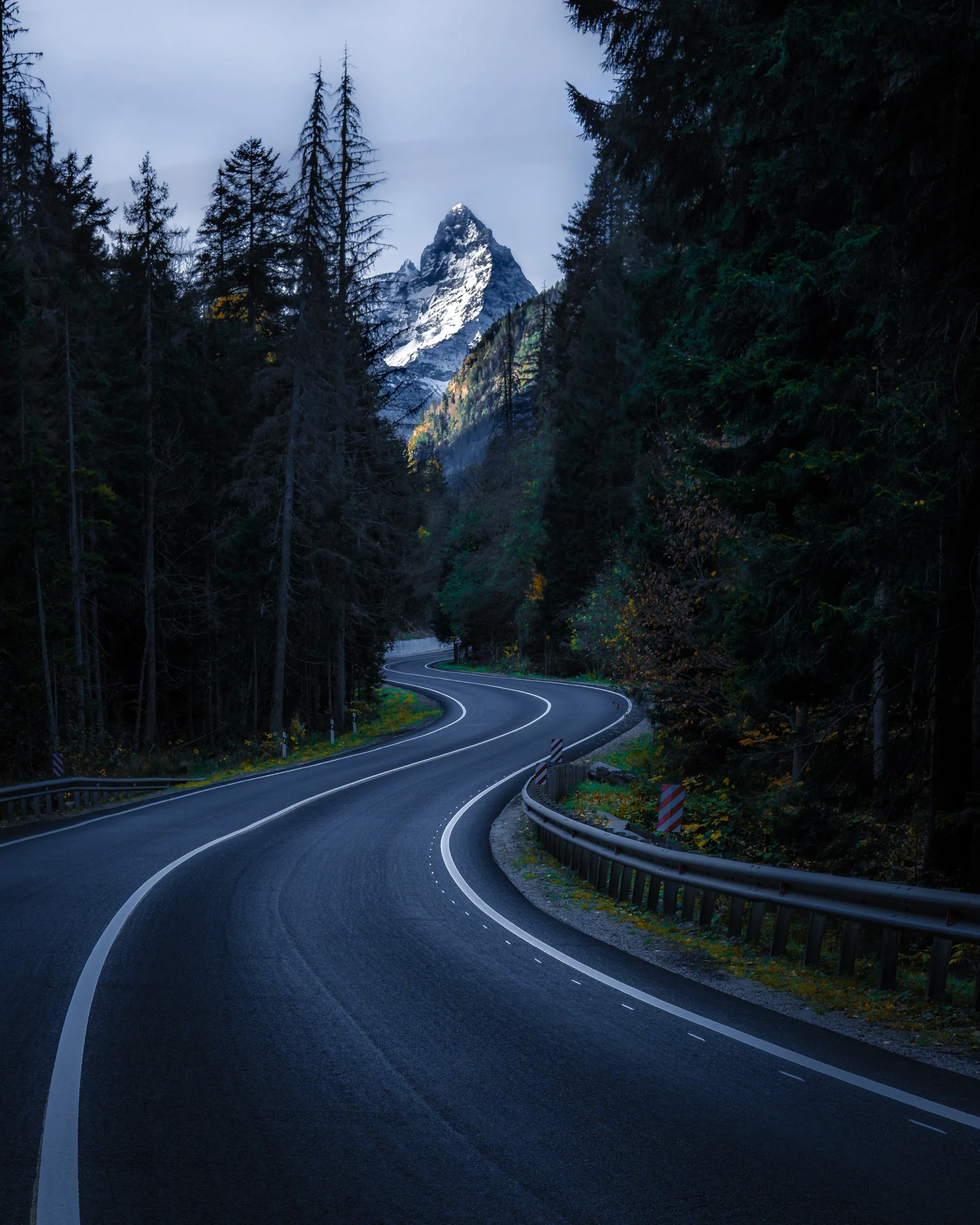 Curved Forest Road Surrounded by Tall Green Trees Wallpaper