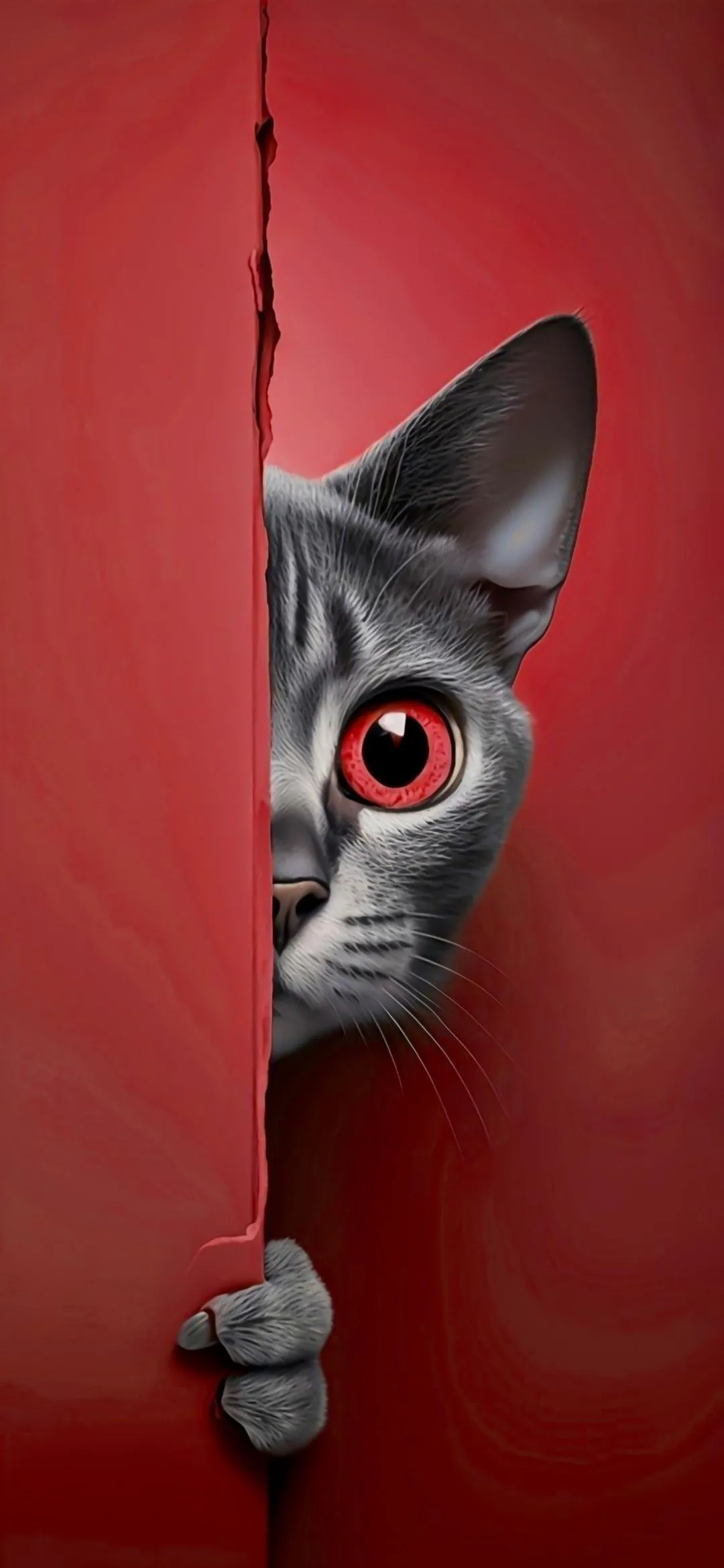 Cute Curious Cat Peeking from Red Door Wallpaper HD
