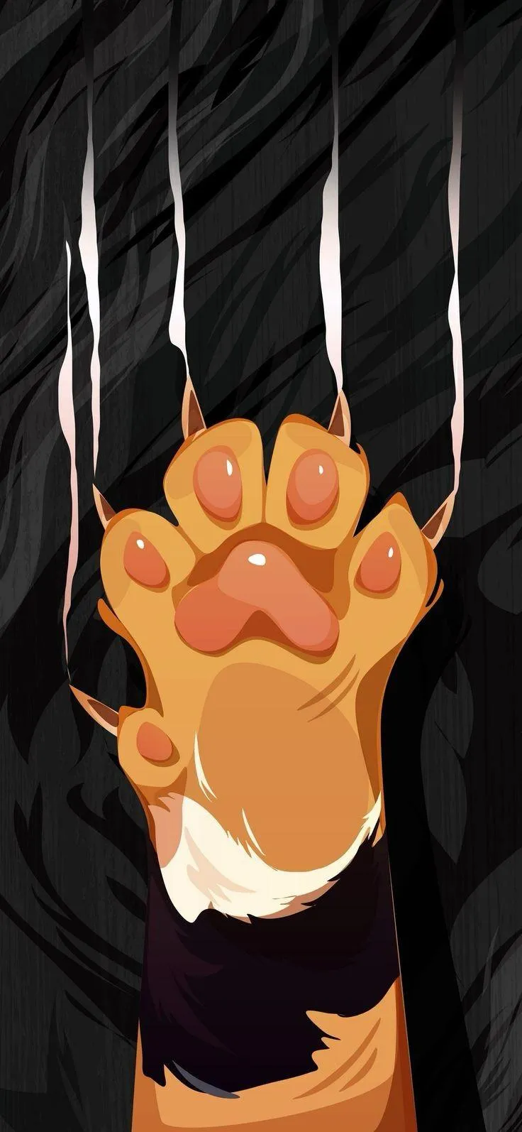 Cute Paw Print Design on Black Minimal Background Wallpaper