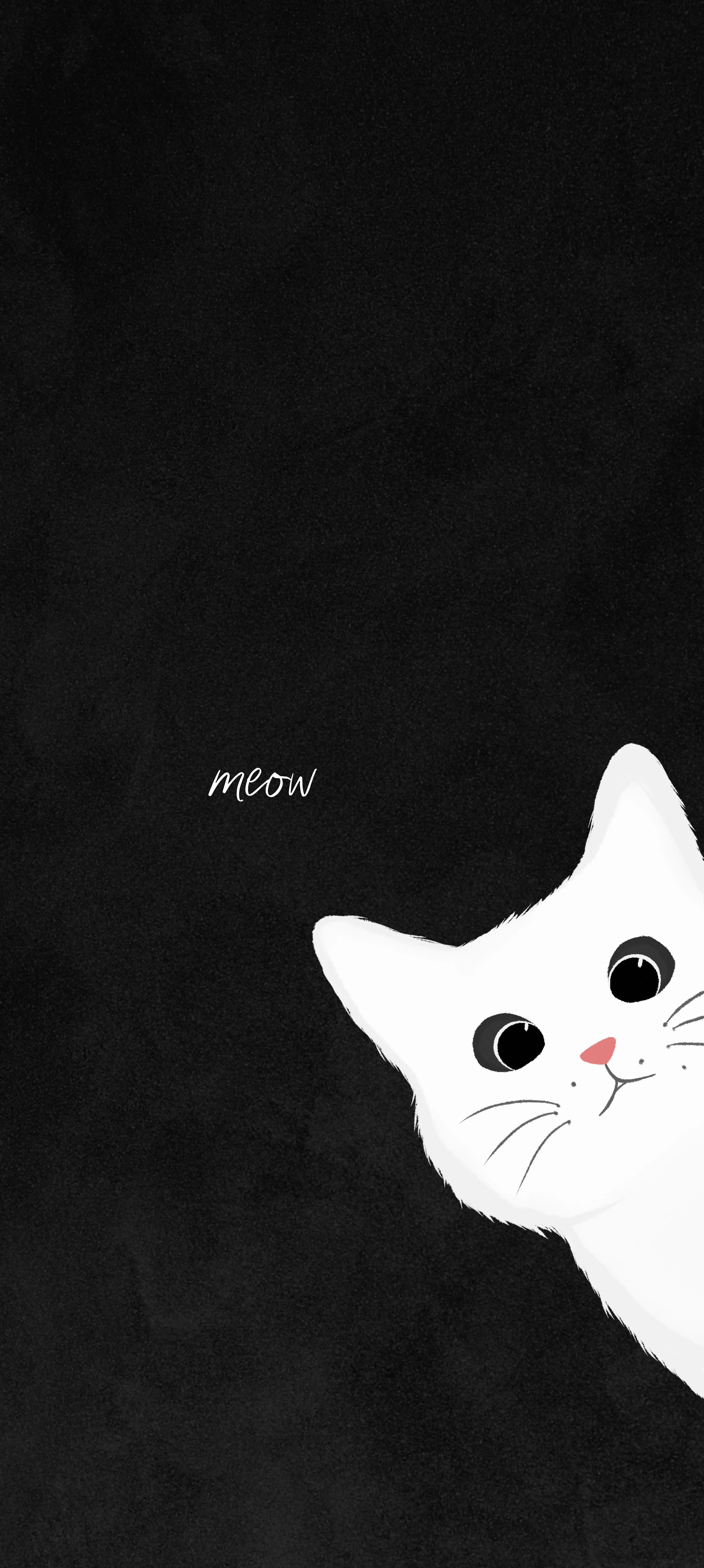 Cute White Cat Peeking on Black Minimalist Background