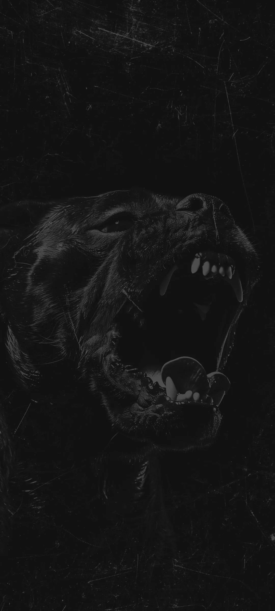 Dark Animal Silhouette Hidden in Shadow Background Wallpaper