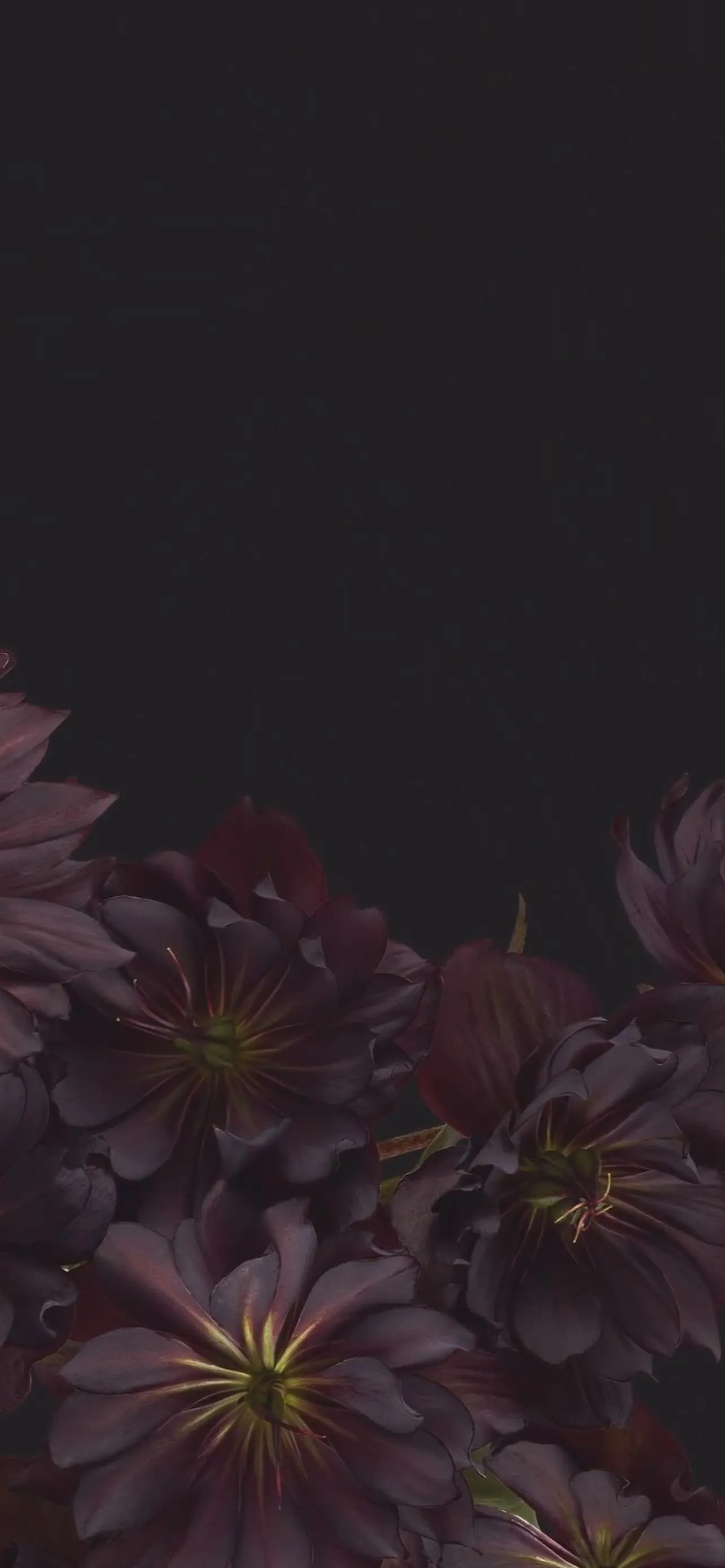 Dark Floral Design with Purple Petals and Soft Glow