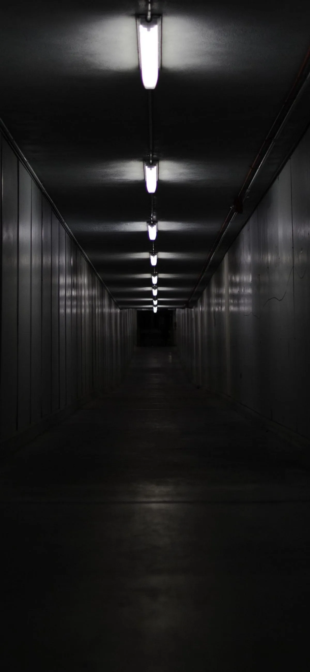 Dark Hallway Perspective with Dramatic Lighting Wallpaper