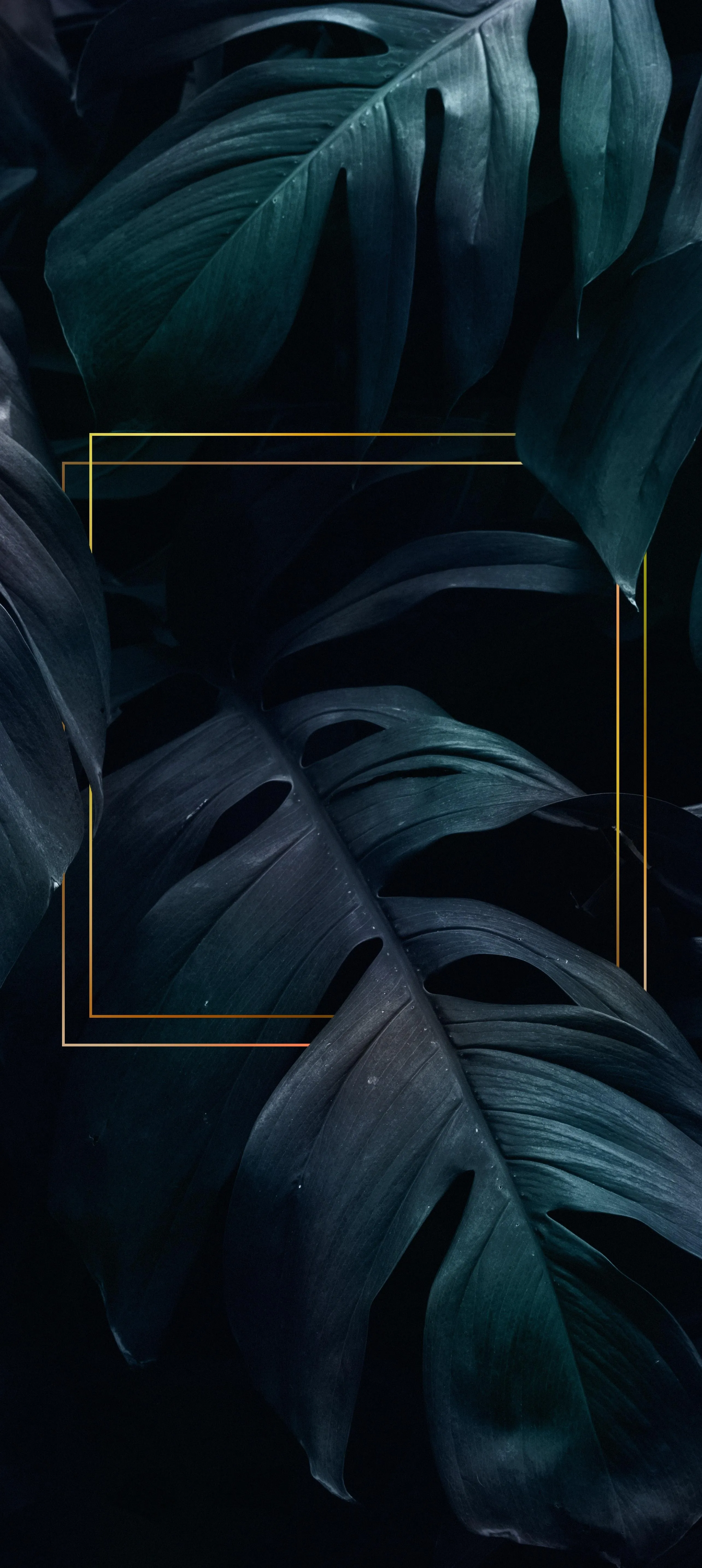 Dark Jungle Leaves with Geometric Frames Minimalist Style