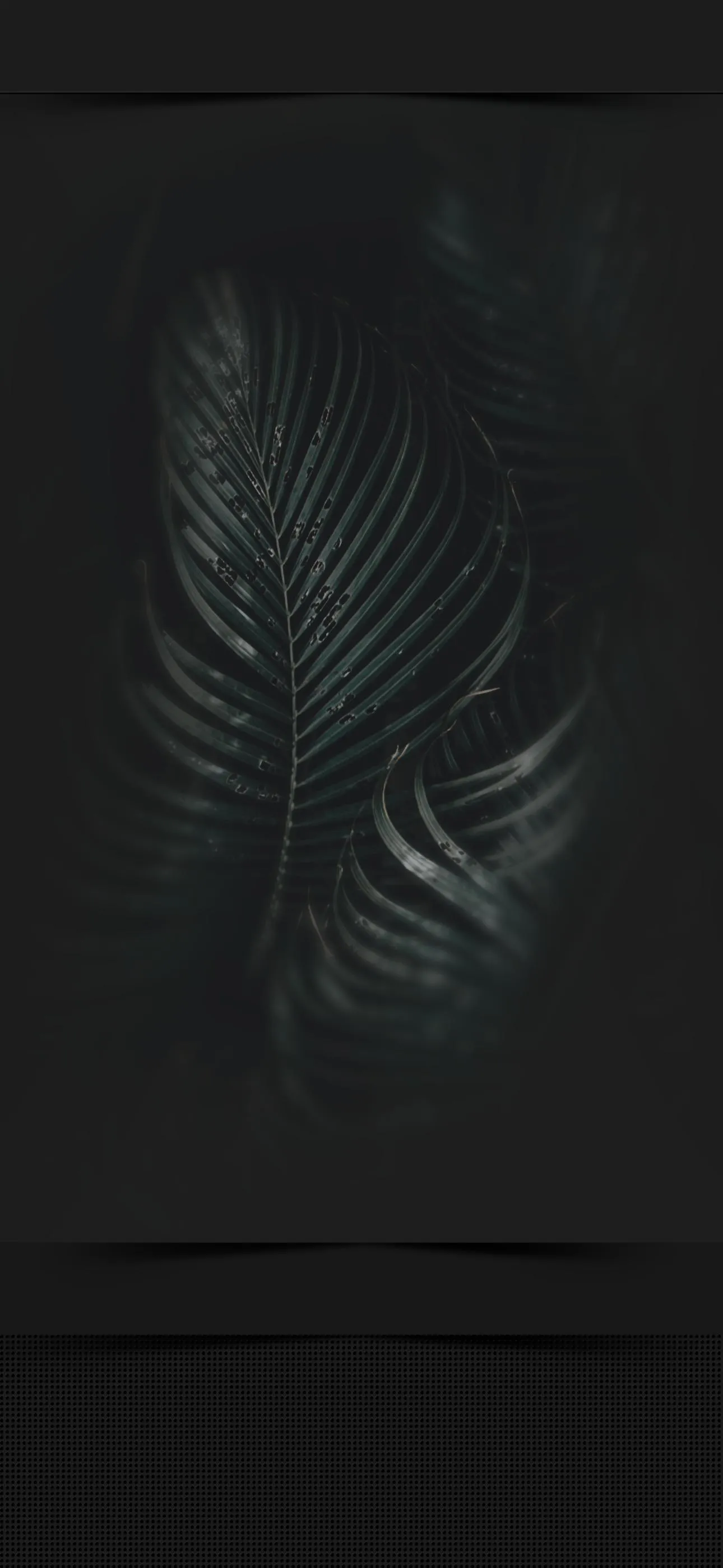 Dark Leaves Abstract Design with Elegant Texture Wallpaper