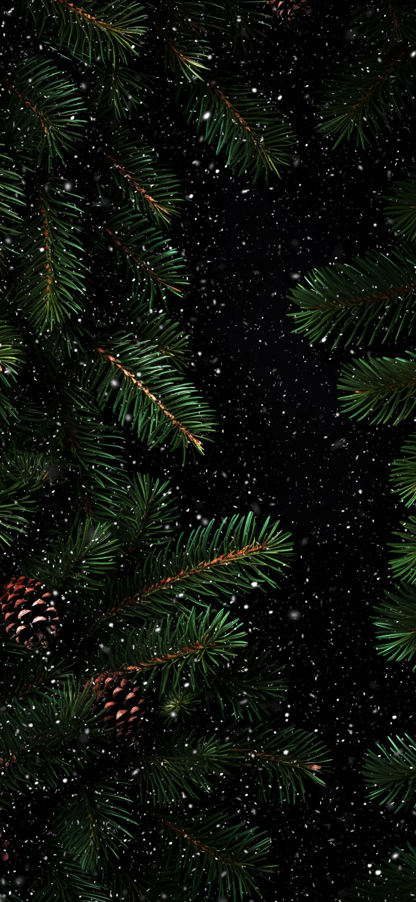 Dark Pine Tree Leaves with Red Glow Night Theme Wallpaper