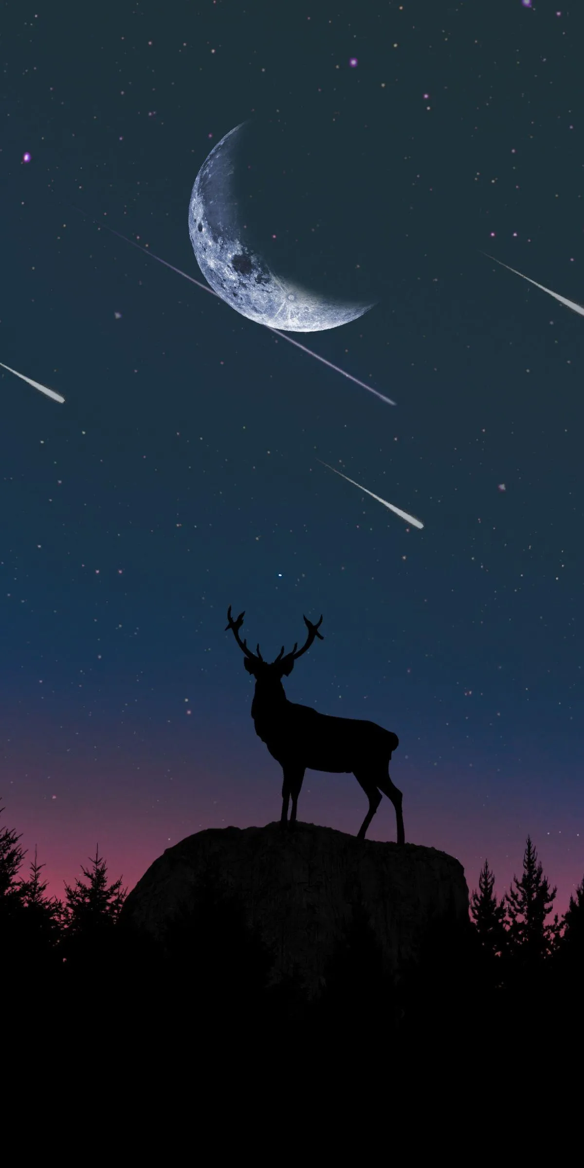 Deer Standing Beneath Moonlit Sky in Night Scene Image