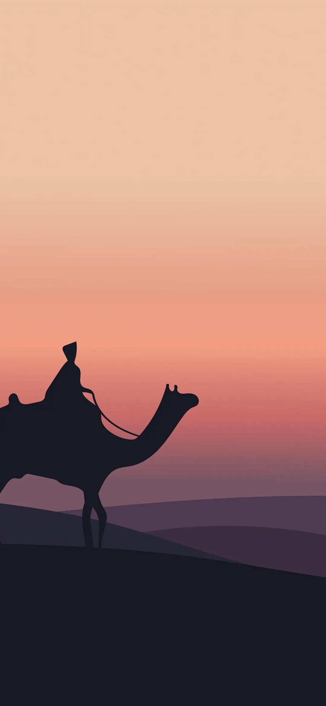 Desert Camel Silhouette Against Sunset Sky Wallpaper