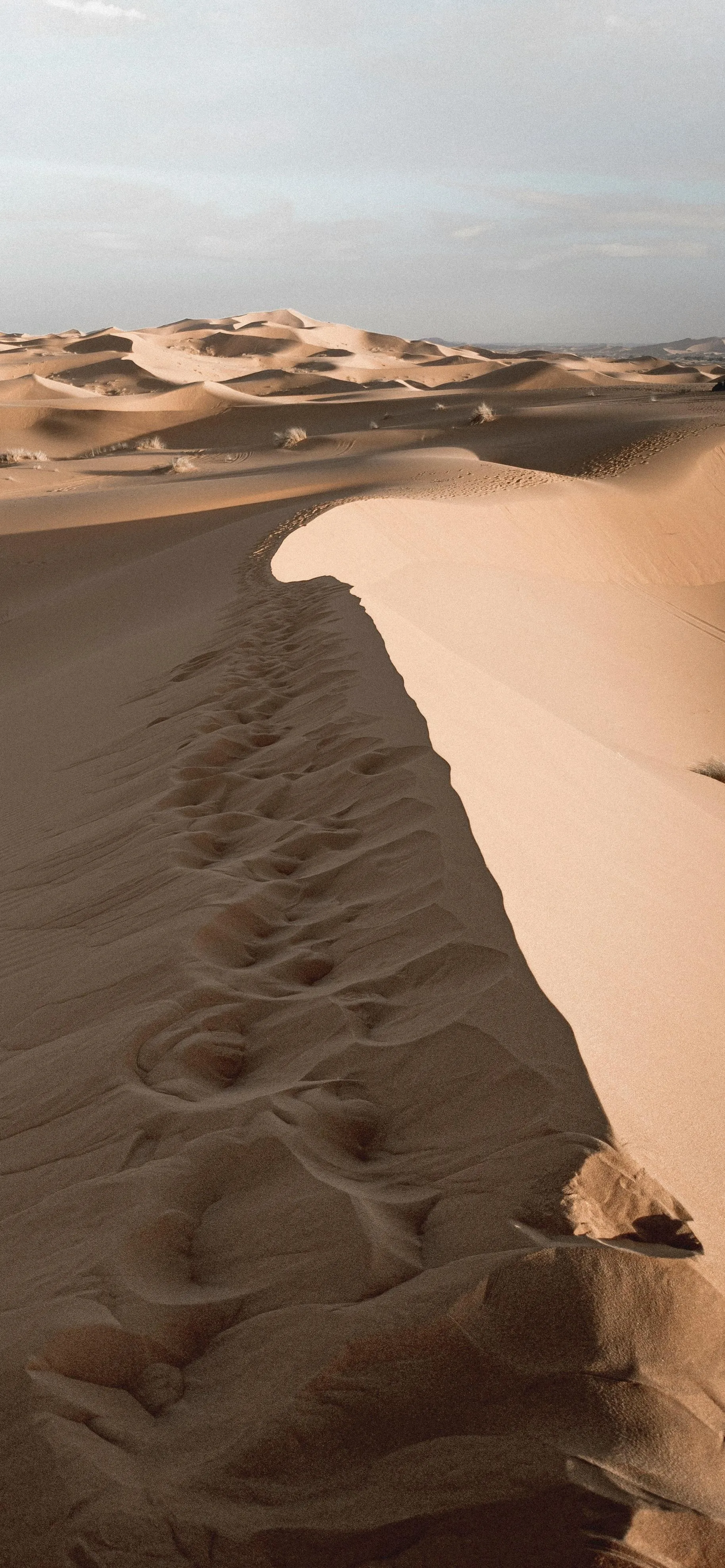 Desert Sand Dunes Under Cloudy Sky in Golden Hour Wallpaper