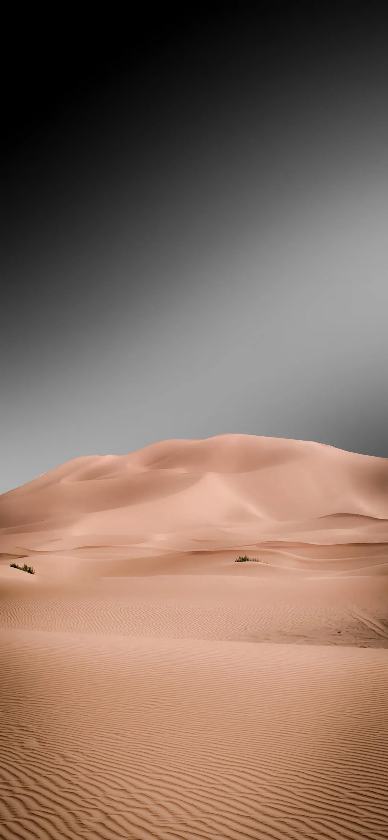 Desert Sand Dunes with Sunlight Mobile Wallpaper Background