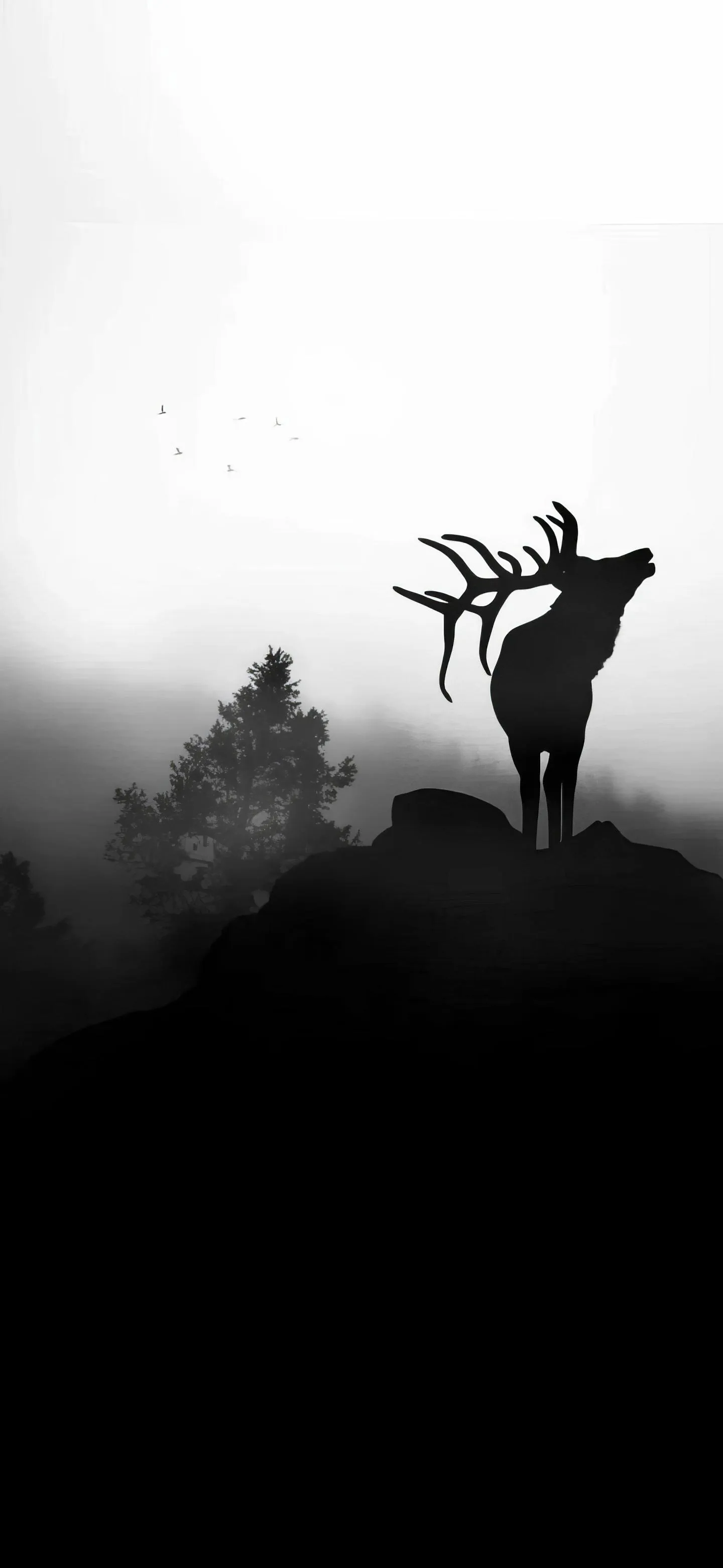 Dramatic Black and White Deer Silhouette Scene Wallpaper