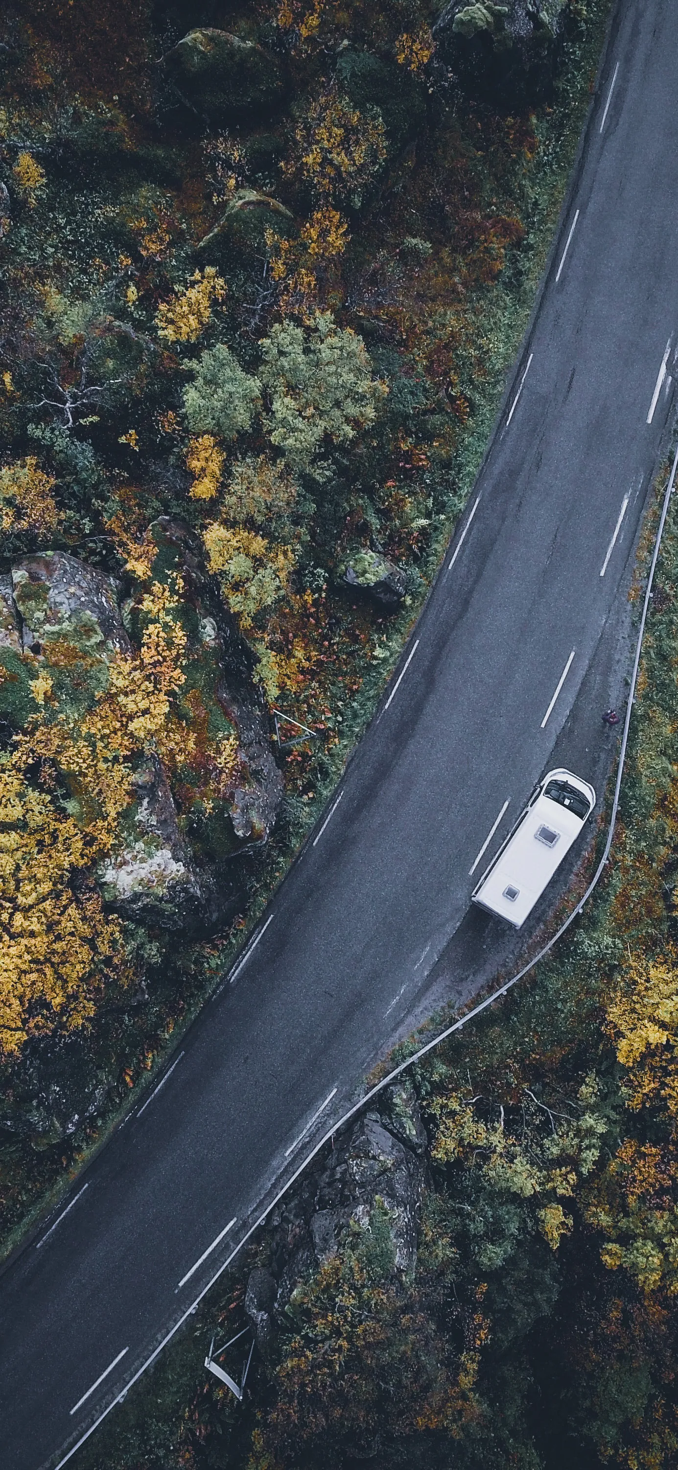 Drone View of Car Driving on Curved Forest Road Wallpaper
