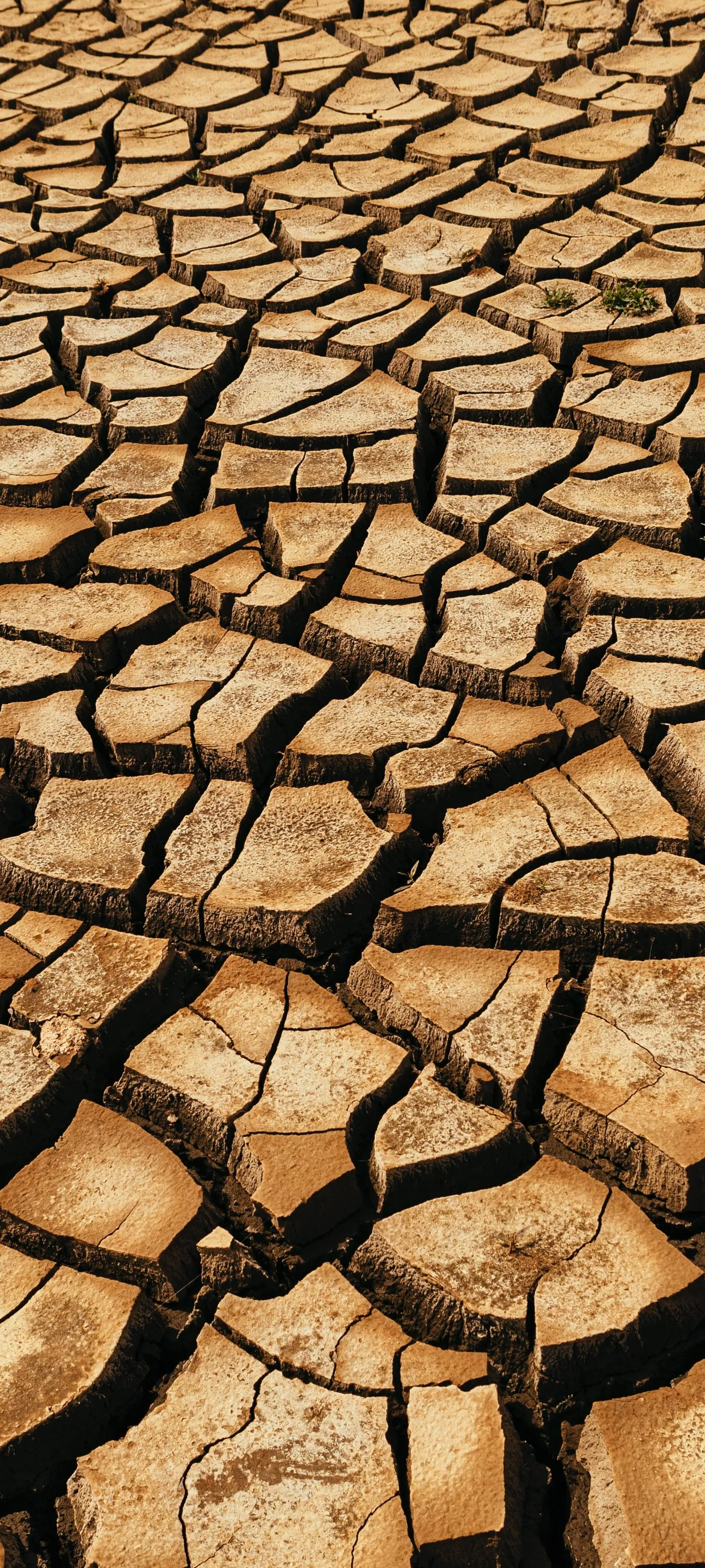 Dry Cracked Earth Texture Showing Extreme Drought Condition