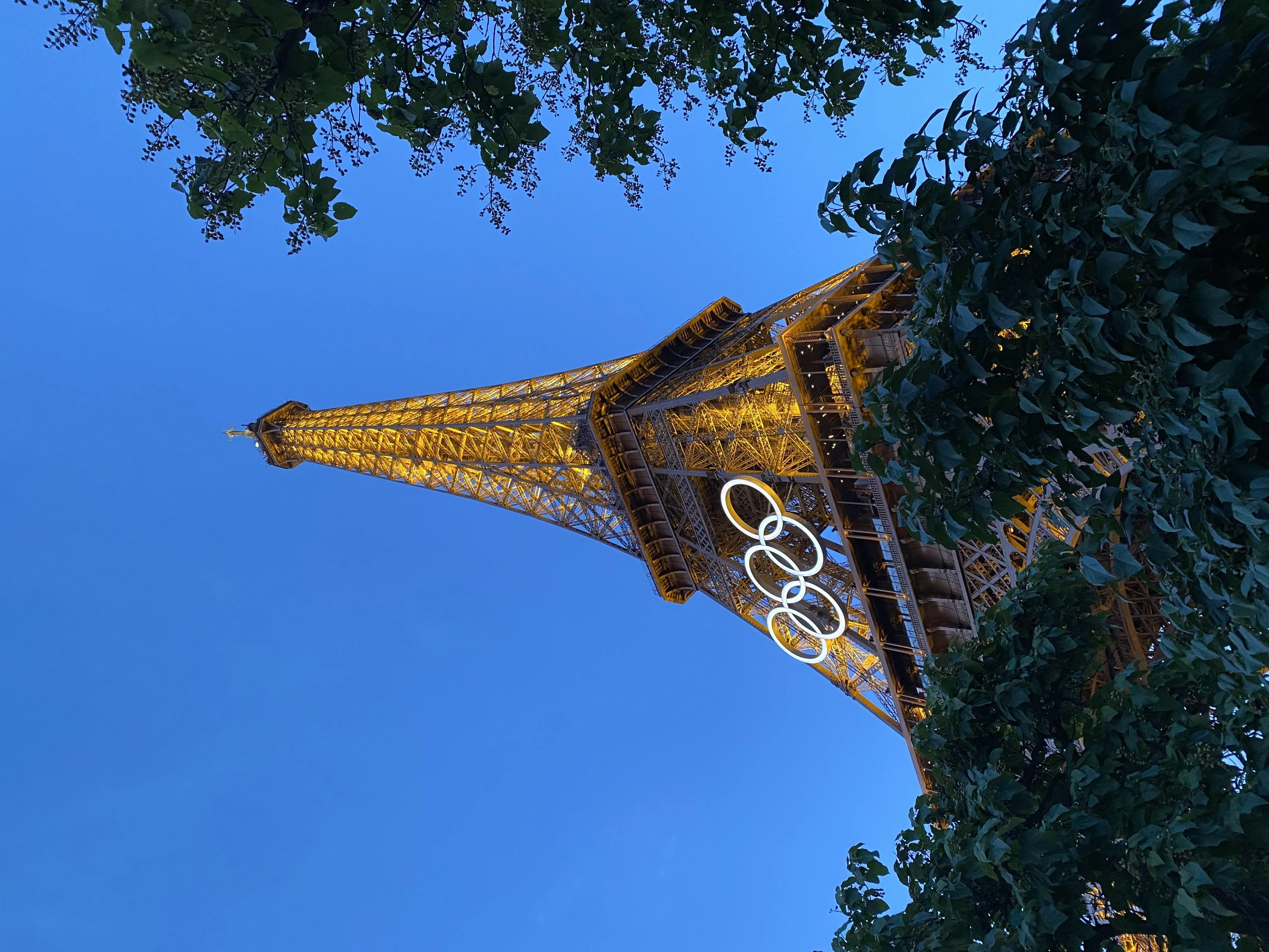 Eiffel Tower View with Blue Sky and Tree Branch Frame