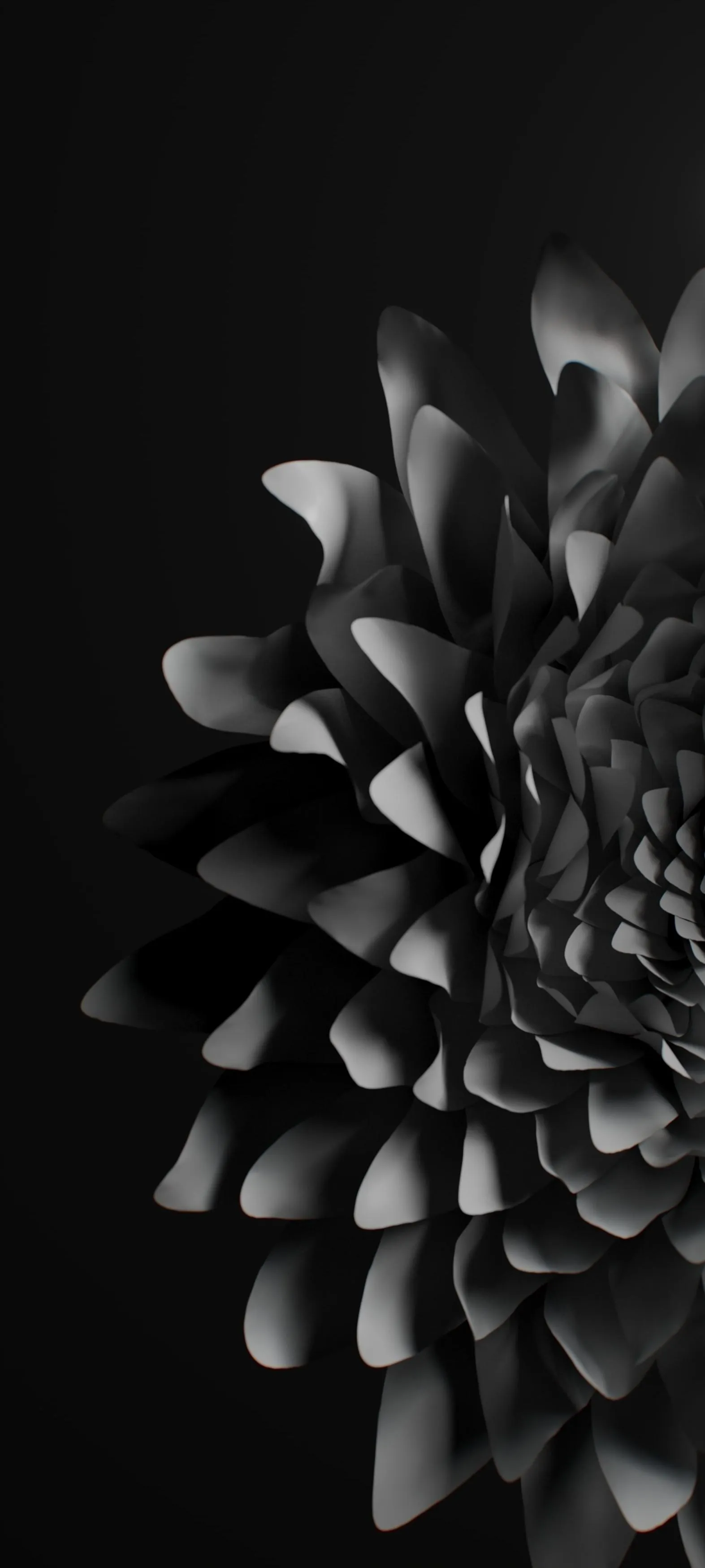 Elegant Black Flower Bloom for Minimalist Wallpaper