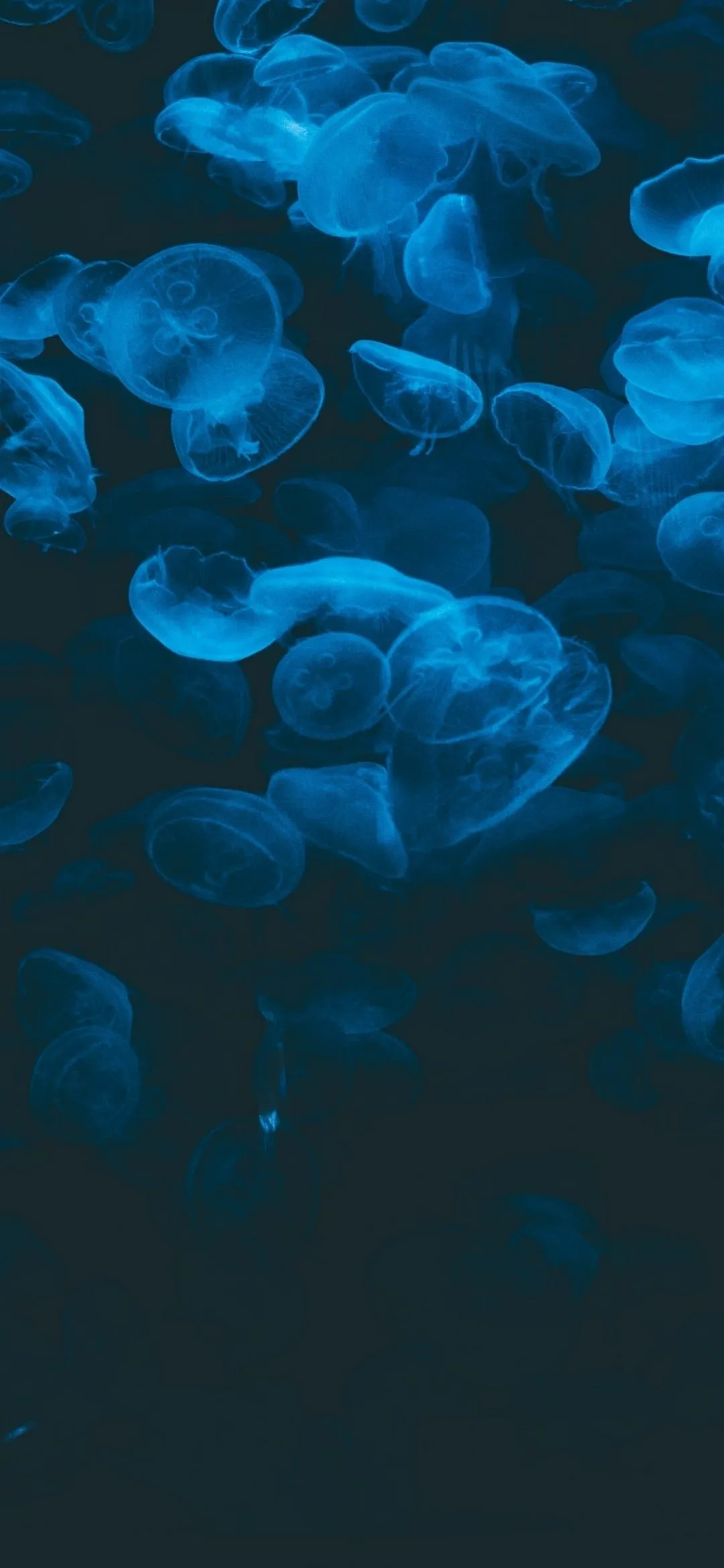 Elegant Blue Ink Smoke Abstract Artistic Mobile Wallpaper