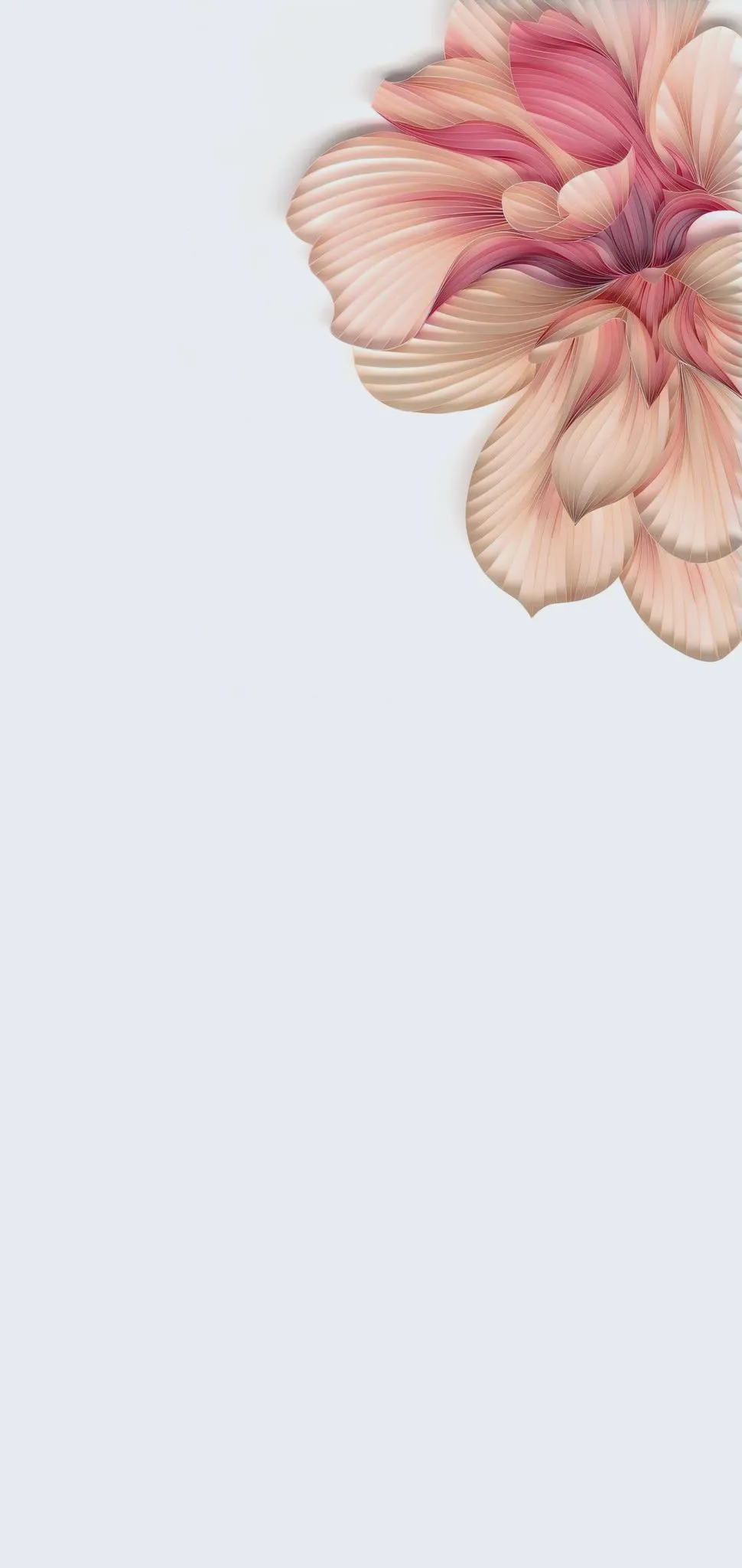 Elegant Floral Artwork on Soft Gray Background Wallpaper