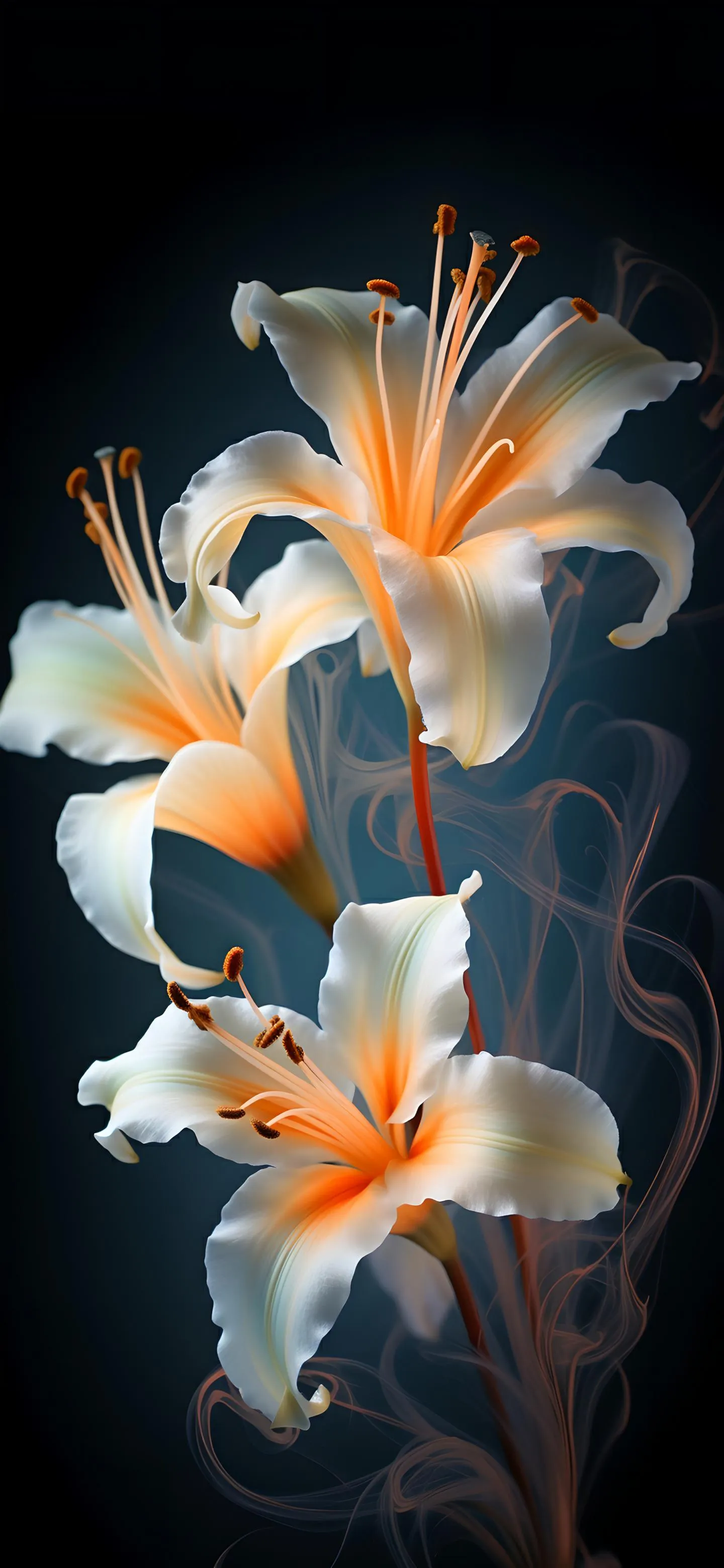 Elegant Orange Lilies on a Dark Background Design Wallpaper