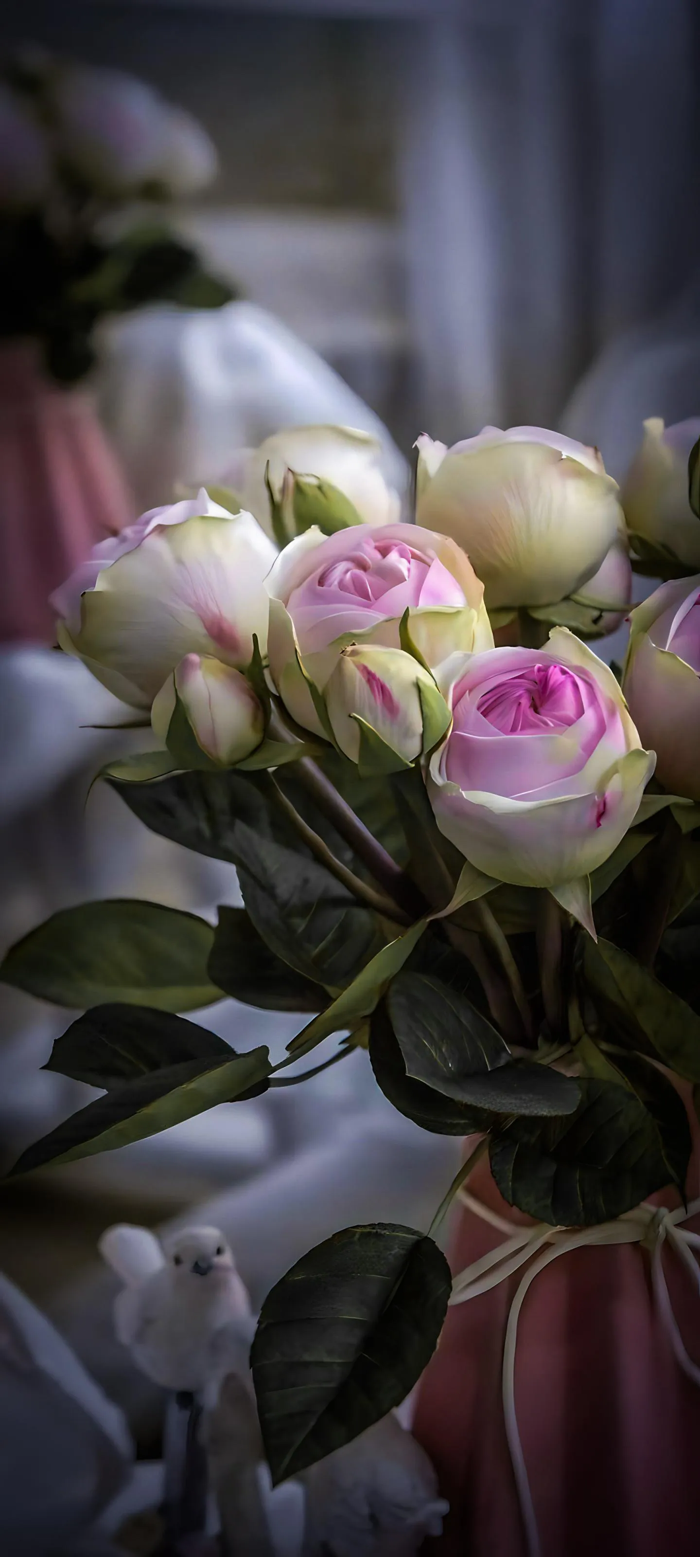 Elegant Pink Roses in Soft Light with Blurred Background