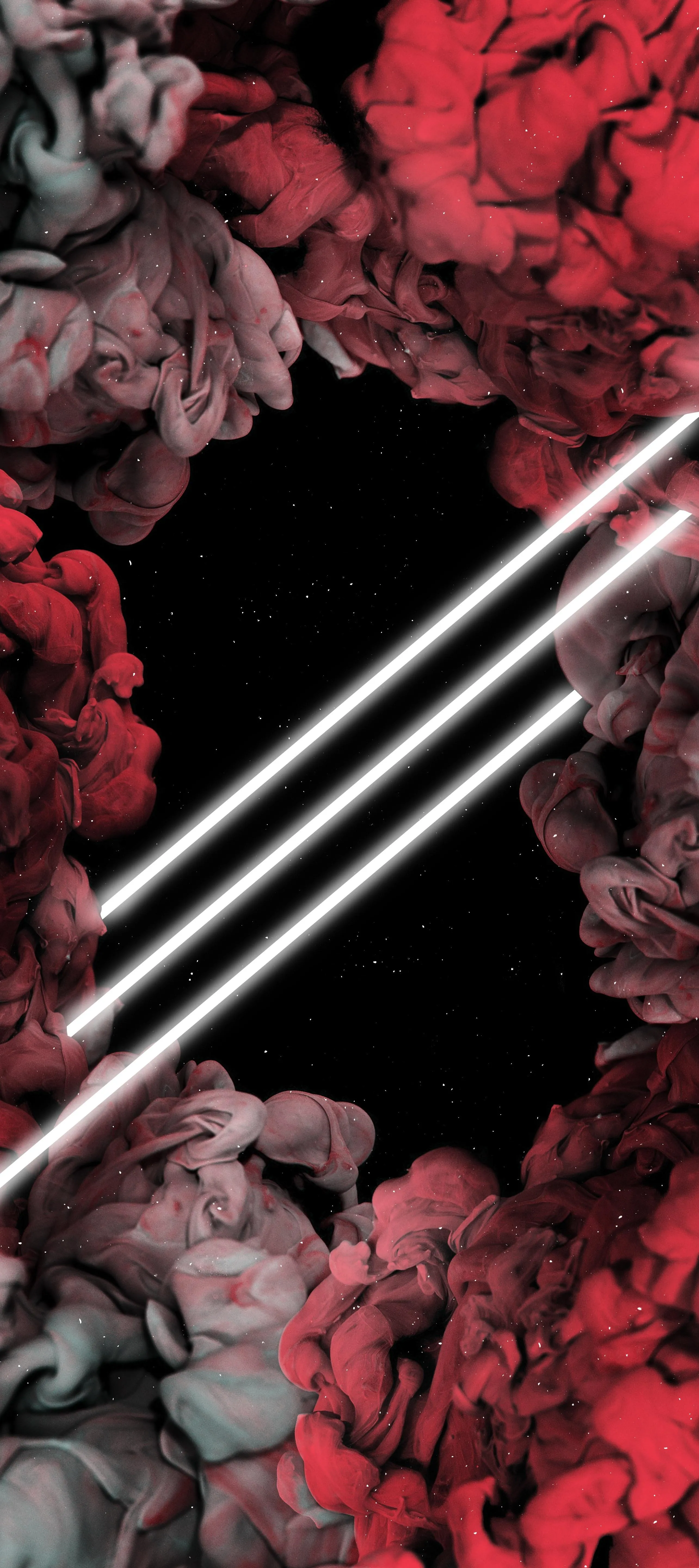 Elegant Red and Black Floral Design for Mobile Wallpaper