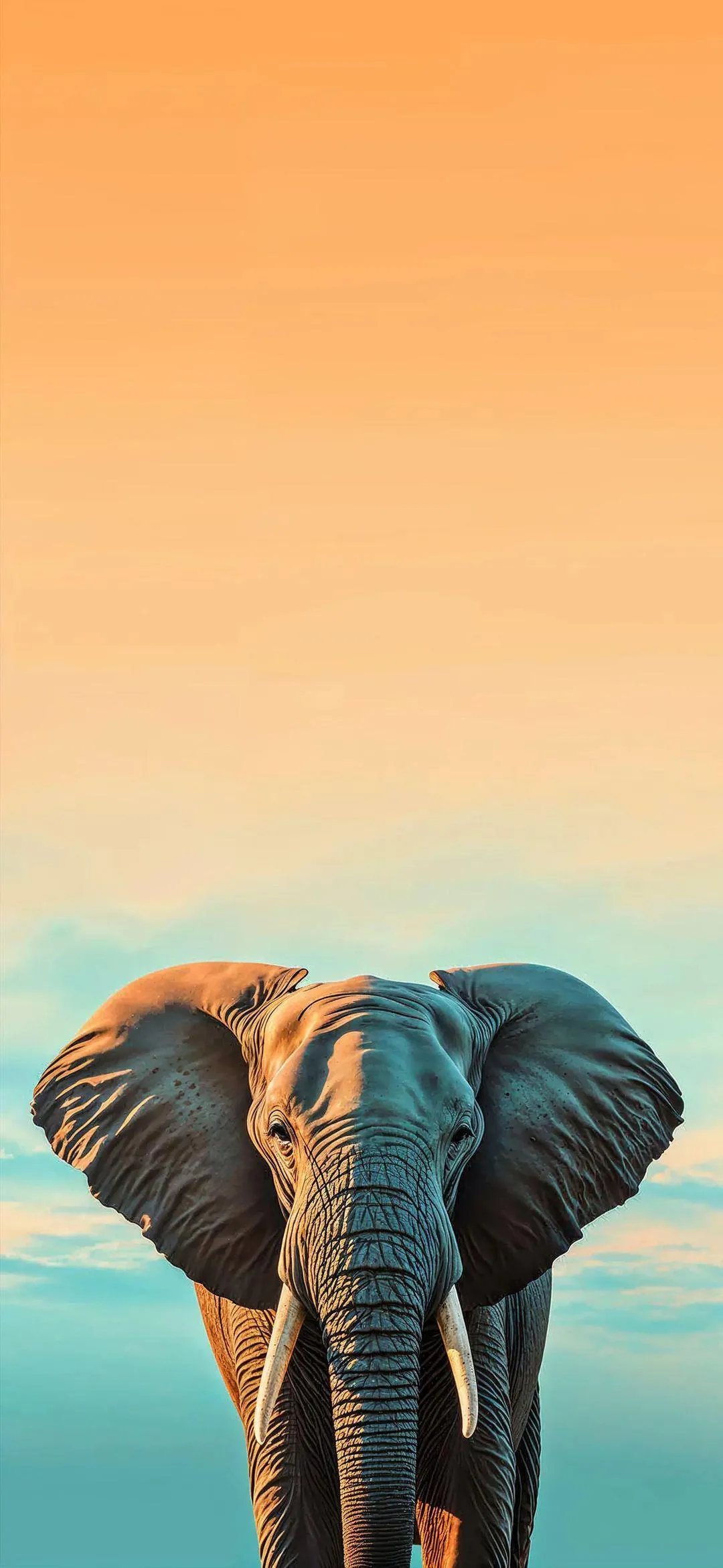 Elephant Walking in Sunset Artistic Mobile Wallpaper
