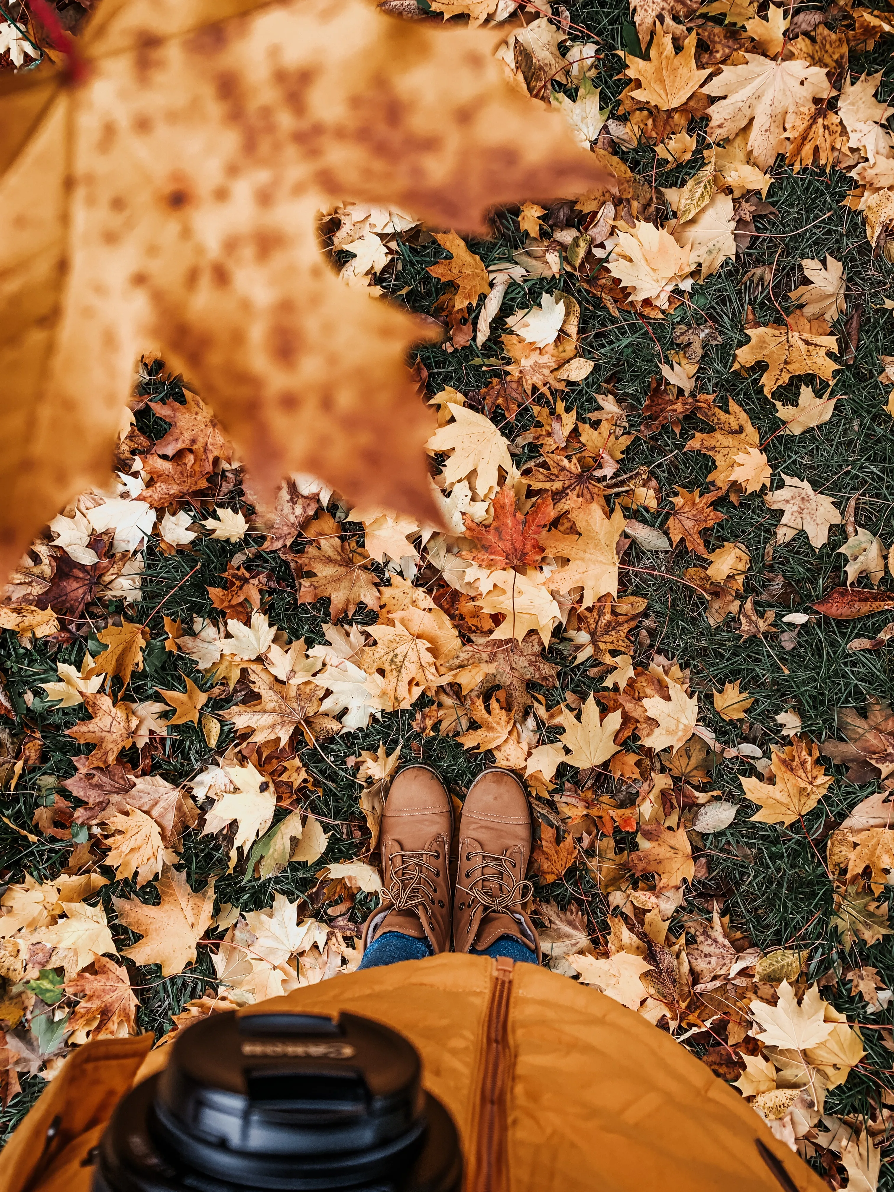 Embracing Autumn with Warm Boots and Golden Foliage