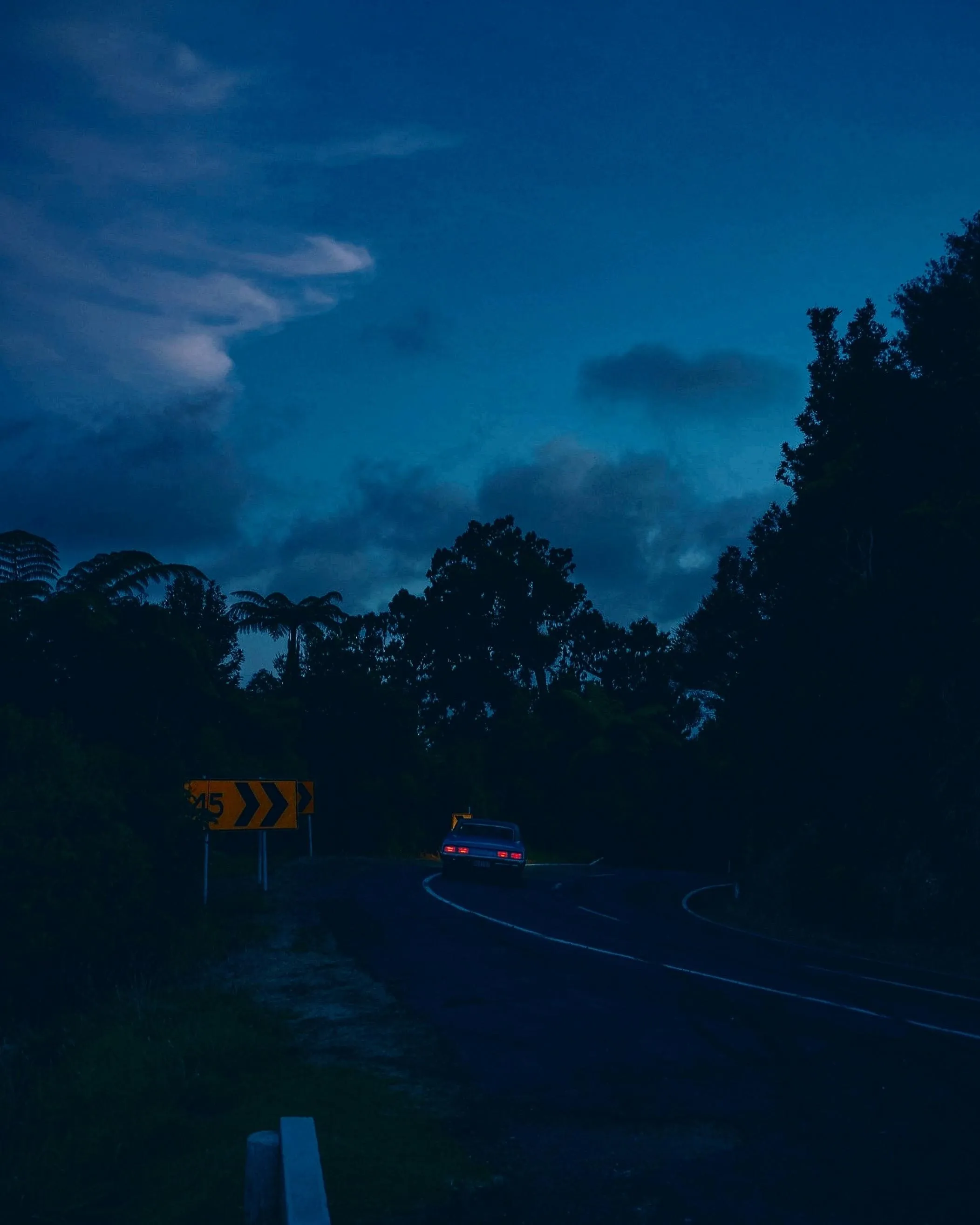 Evening Sky and Trees in Calm Blue Hour Photography