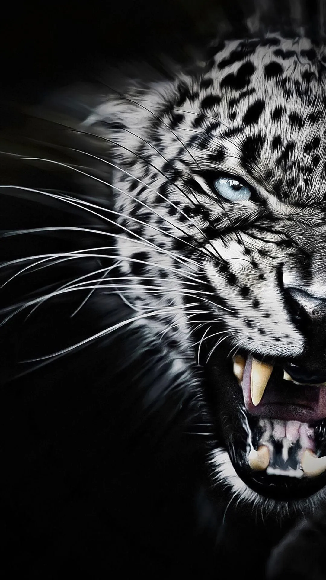 Fierce Leopard Face Emerging from Darkness in Night Scene