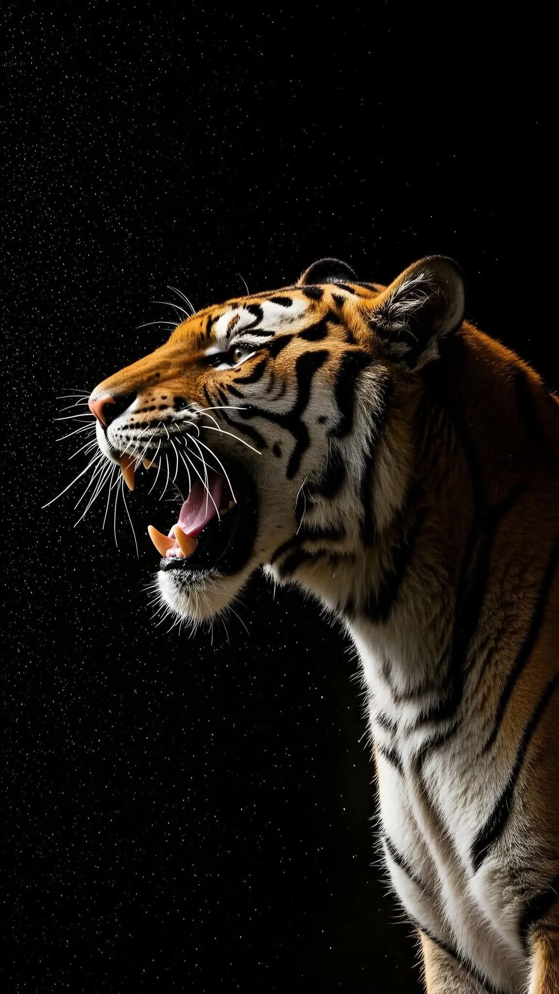 Fierce Tiger Head Roaring in Darkness Wild Animal Theme