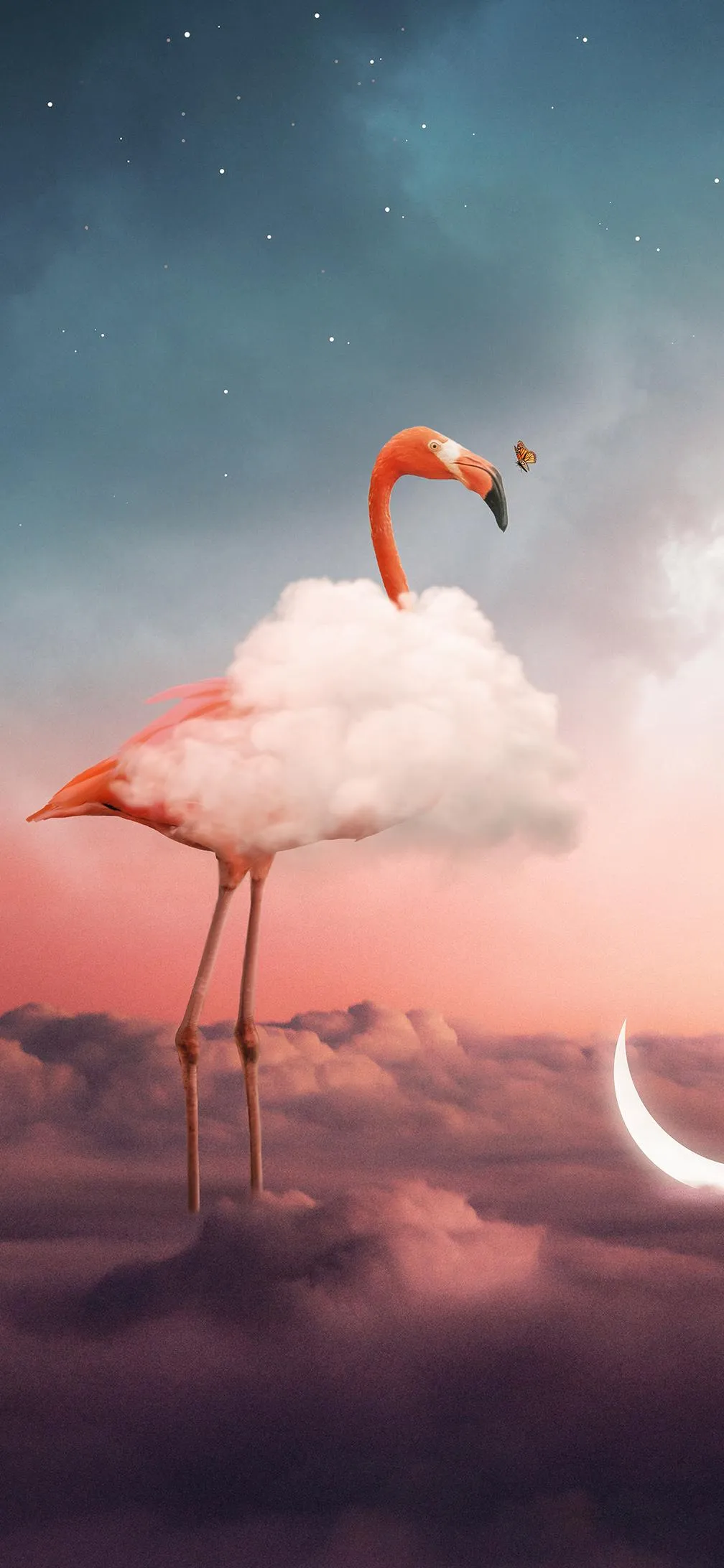 Flamingo in Pink Sky Aesthetic Mobile Background Wallpaper