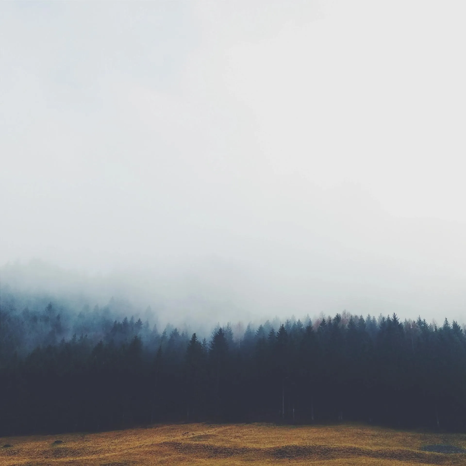 Foggy Field Landscape under Calm Cloudy Sky Wallpaper